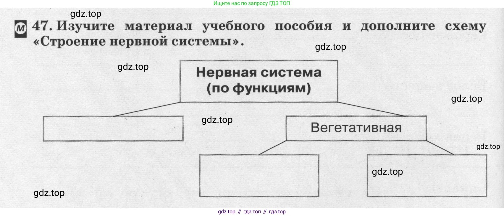 ГДЗ Биология, 8 класс рабочая тетрадь, авторы: Сонин Николай Иванович, Агафонова Инна Борисовна, издательство Просвещение, Москва, 2021, белого цвета, страница 34, номер 47, Условие