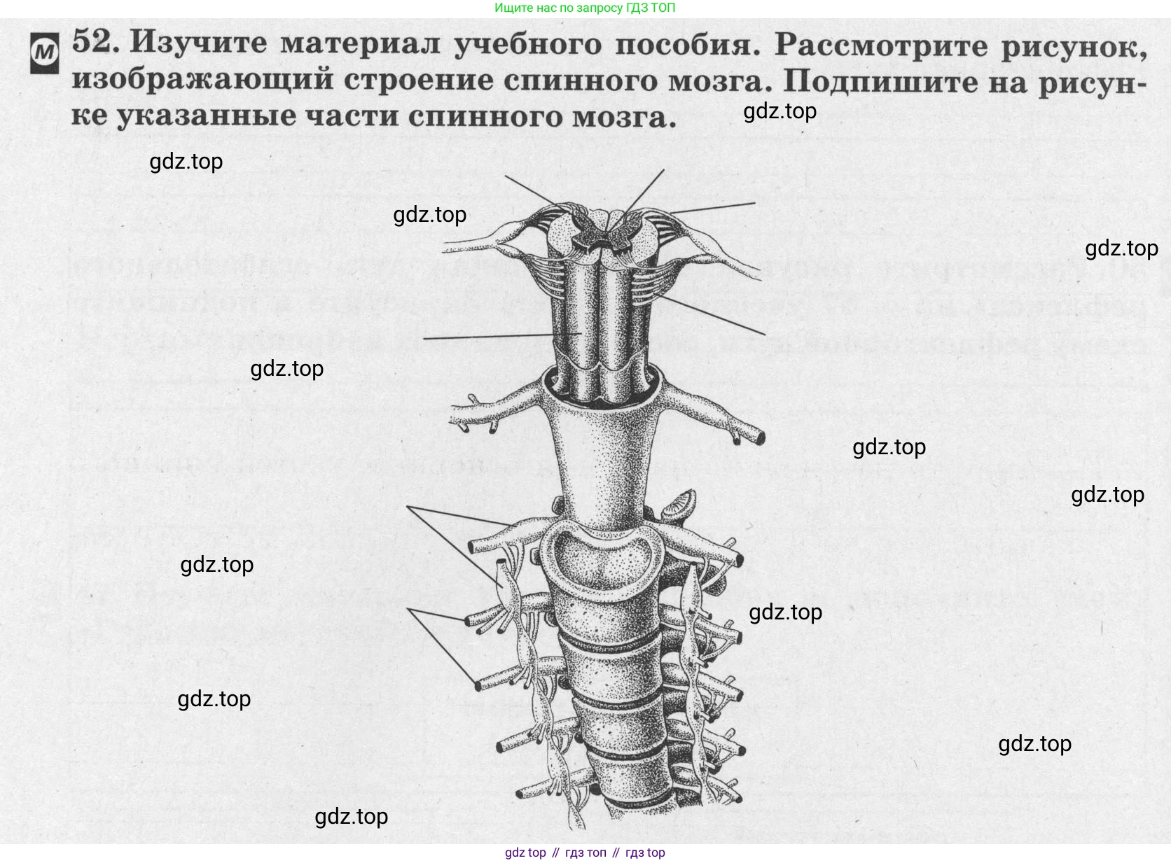 ГДЗ Биология, 8 класс рабочая тетрадь, авторы: Сонин Николай Иванович, Агафонова Инна Борисовна, издательство Просвещение, Москва, 2021, белого цвета, страница 36, номер 52, Условие