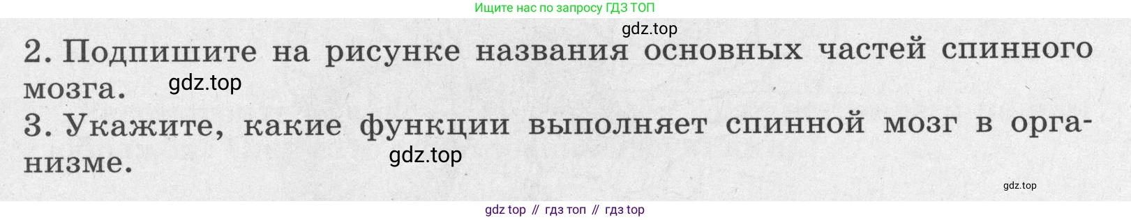 ГДЗ Биология, 8 класс рабочая тетрадь, авторы: Сонин Николай Иванович, Агафонова Инна Борисовна, издательство Просвещение, Москва, 2021, белого цвета, страница 36, номер 54, Условие (продолжение 2)