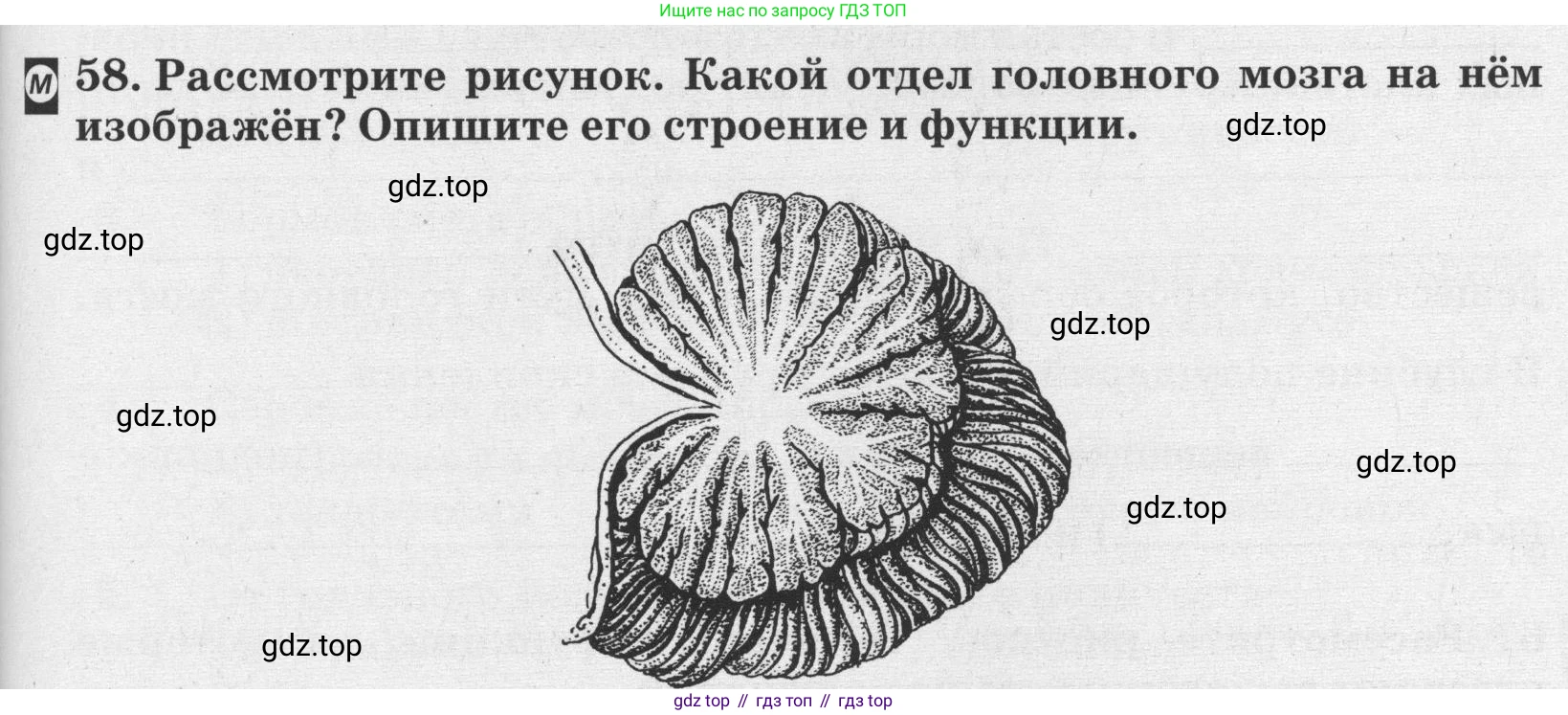ГДЗ Биология, 8 класс рабочая тетрадь, авторы: Сонин Николай Иванович, Агафонова Инна Борисовна, издательство Просвещение, Москва, 2021, белого цвета, страница 39, номер 58, Условие