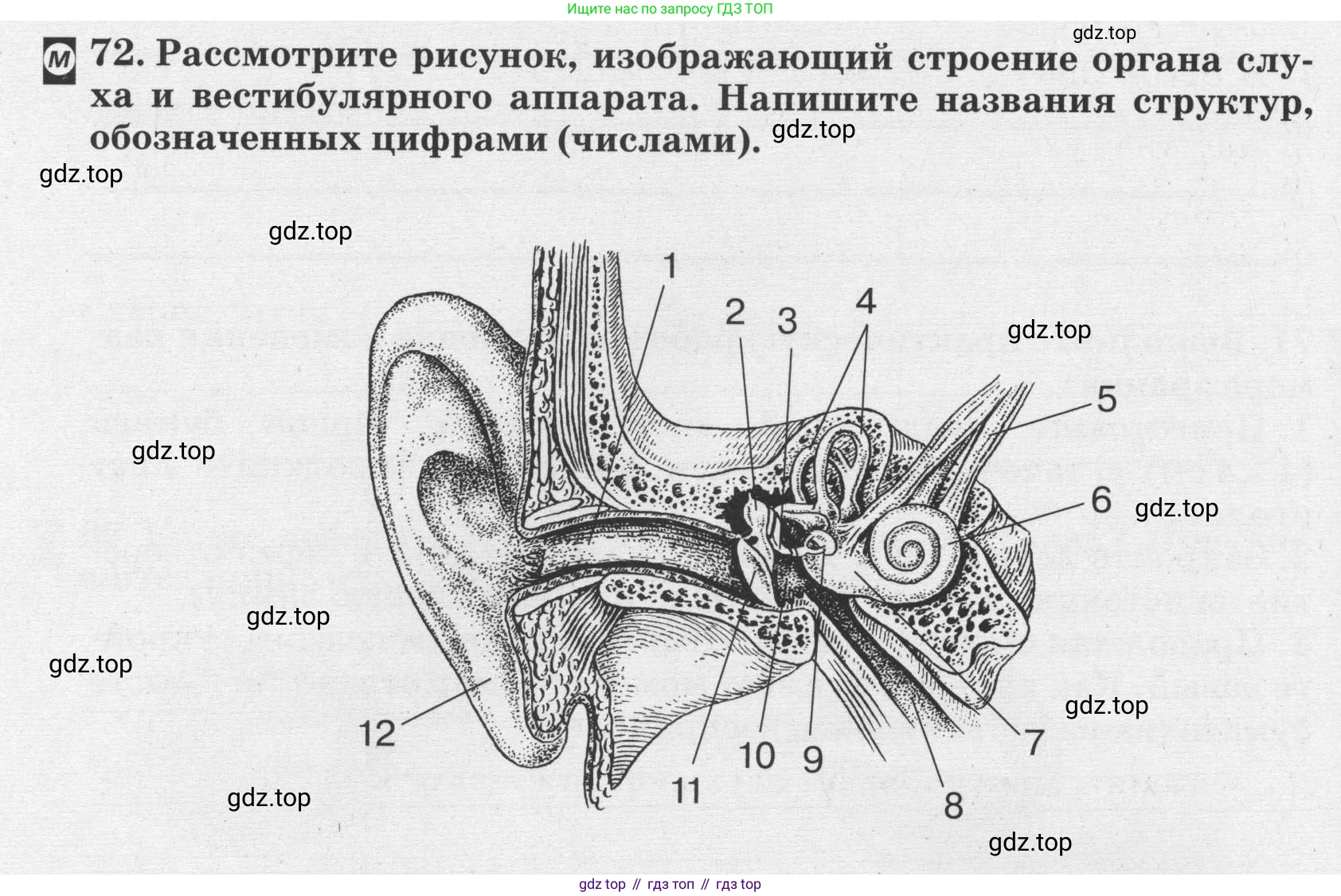 ГДЗ Биология, 8 класс рабочая тетрадь, авторы: Сонин Николай Иванович, Агафонова Инна Борисовна, издательство Просвещение, Москва, 2021, белого цвета, страница 50, номер 72, Условие