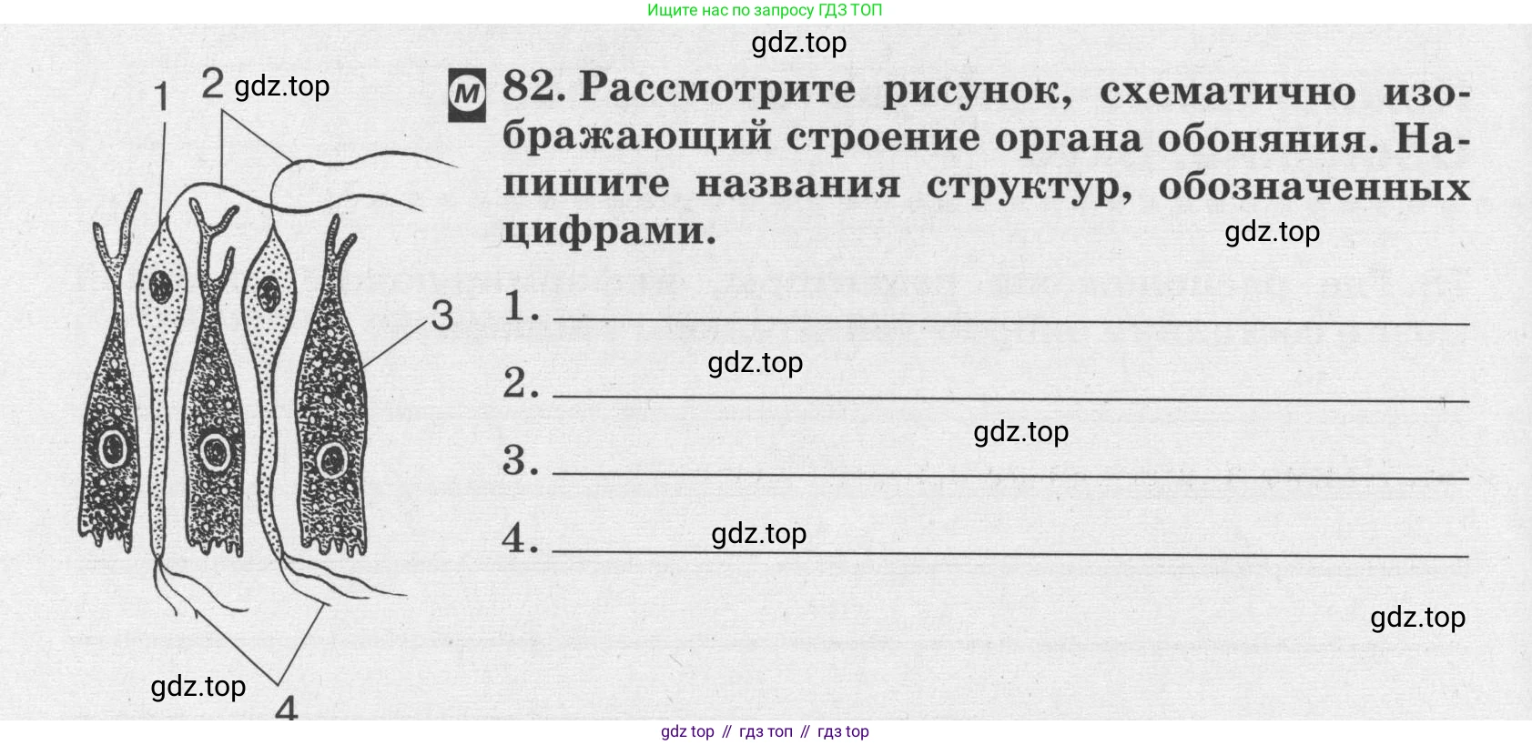 ГДЗ Биология, 8 класс рабочая тетрадь, авторы: Сонин Николай Иванович, Агафонова Инна Борисовна, издательство Просвещение, Москва, 2021, белого цвета, страница 54, номер 82, Условие