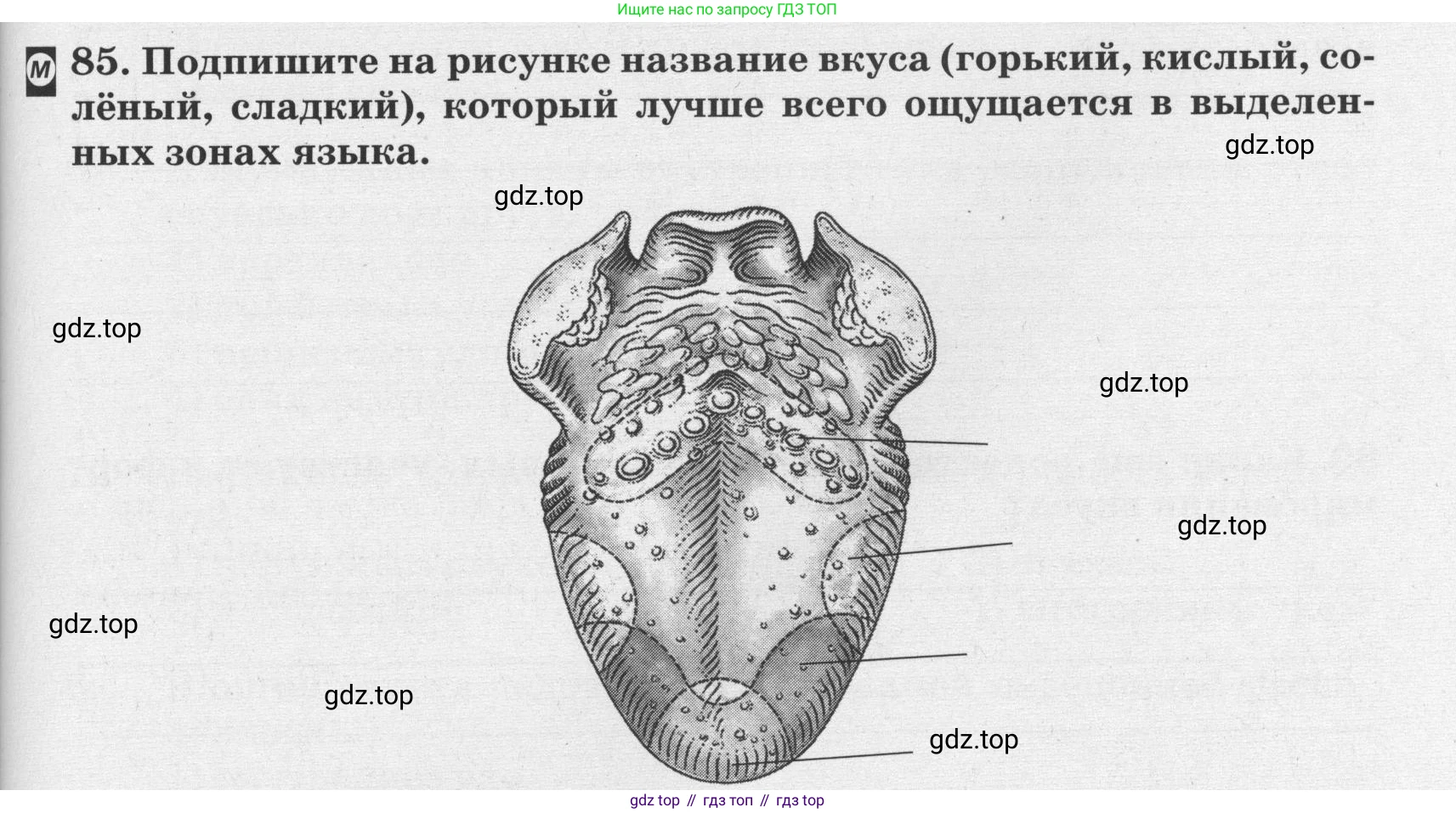 ГДЗ Биология, 8 класс рабочая тетрадь, авторы: Сонин Николай Иванович, Агафонова Инна Борисовна, издательство Просвещение, Москва, 2021, белого цвета, страница 55, номер 85, Условие