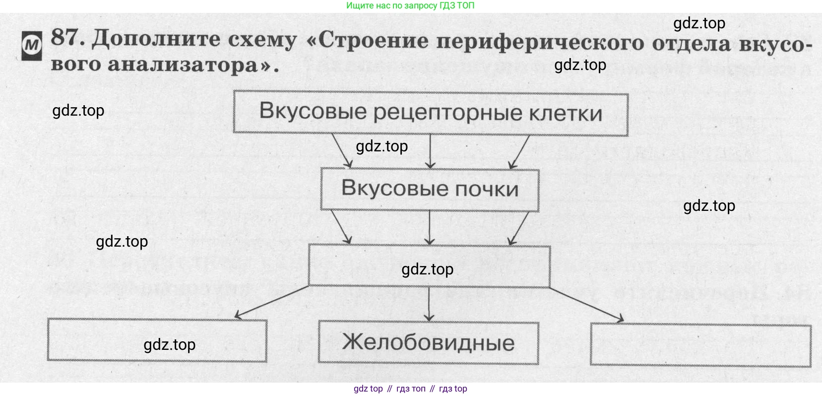 ГДЗ Биология, 8 класс рабочая тетрадь, авторы: Сонин Николай Иванович, Агафонова Инна Борисовна, издательство Просвещение, Москва, 2021, белого цвета, страница 56, номер 87, Условие
