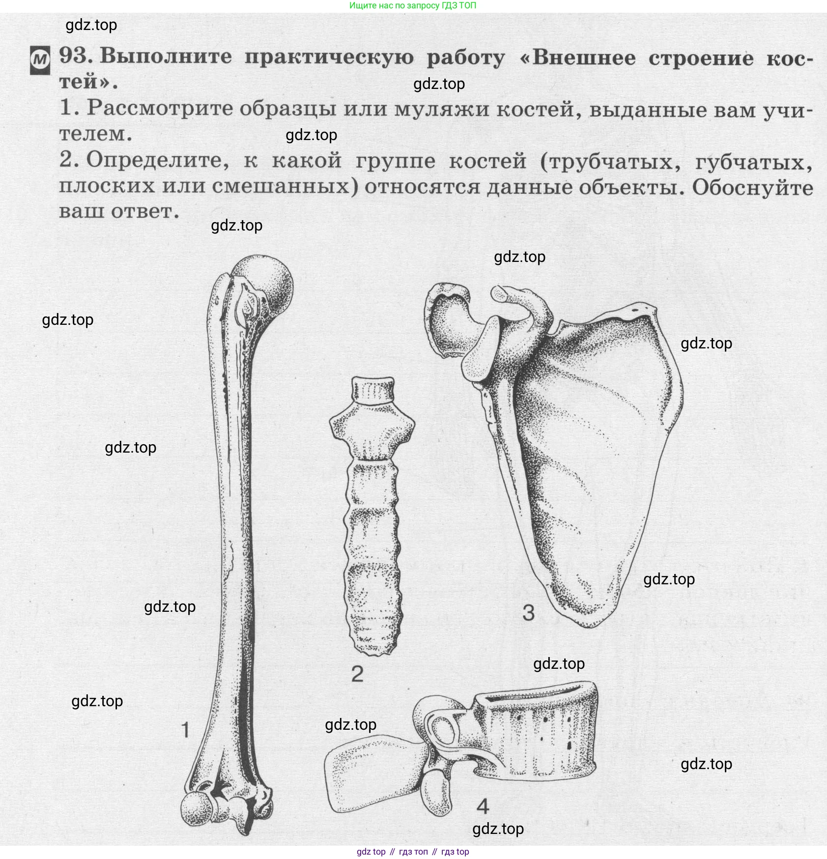ГДЗ Биология, 8 класс рабочая тетрадь, авторы: Сонин Николай Иванович, Агафонова Инна Борисовна, издательство Просвещение, Москва, 2021, белого цвета, страница 62, номер 93, Условие