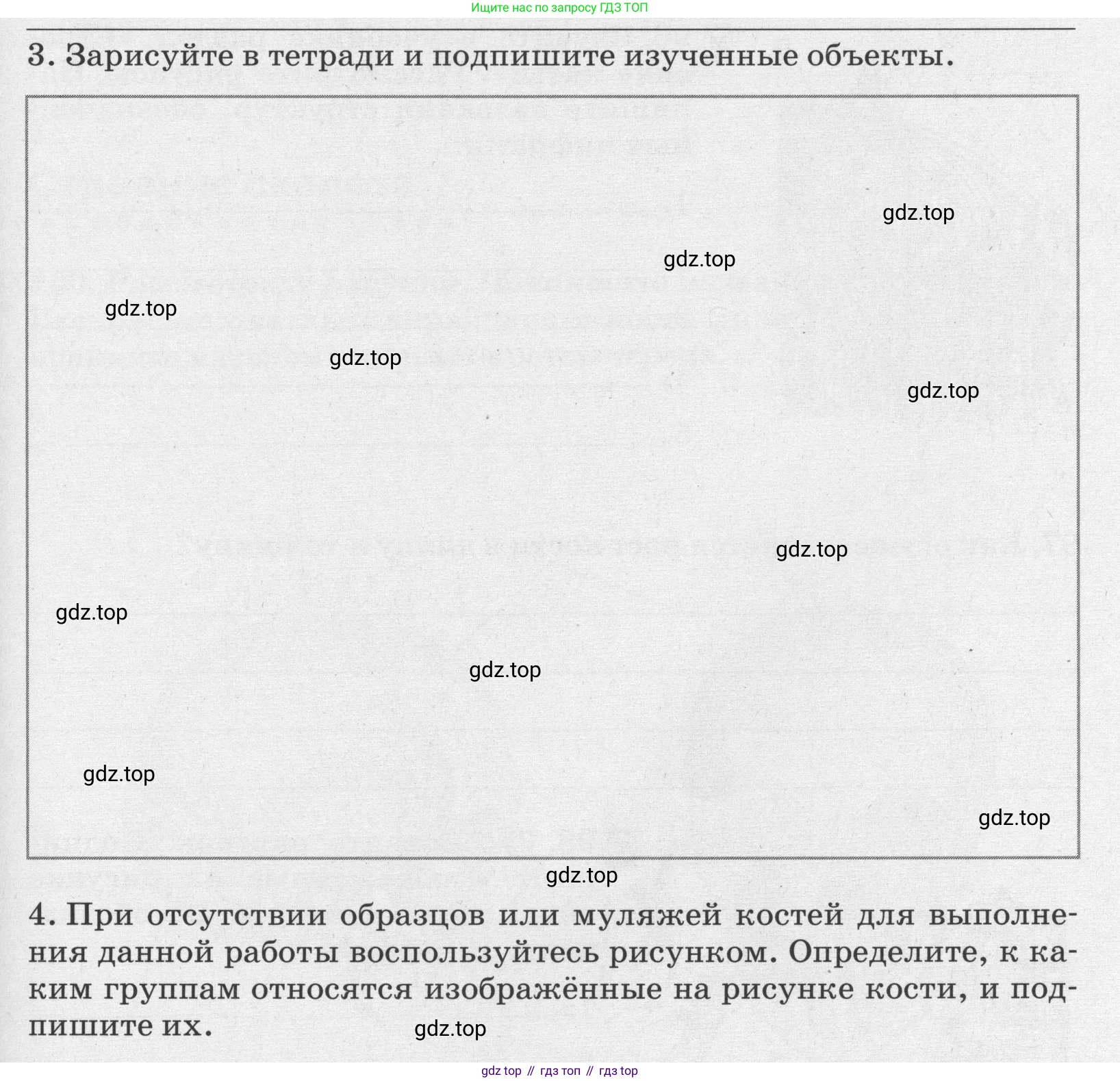ГДЗ Биология, 8 класс рабочая тетрадь, авторы: Сонин Николай Иванович, Агафонова Инна Борисовна, издательство Просвещение, Москва, 2021, белого цвета, страница 62, номер 93, Условие (продолжение 2)