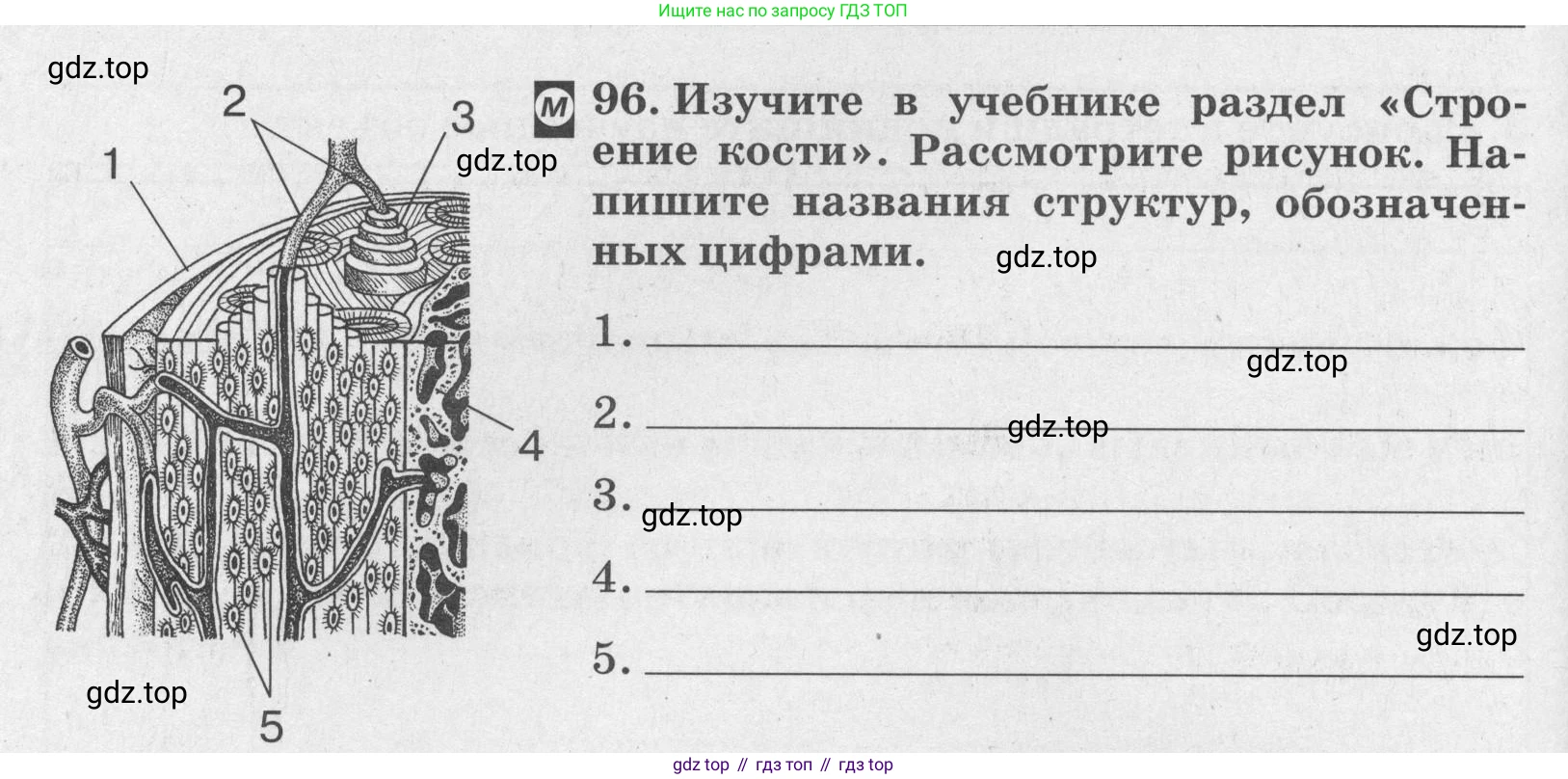 ГДЗ Биология, 8 класс рабочая тетрадь, авторы: Сонин Николай Иванович, Агафонова Инна Борисовна, издательство Просвещение, Москва, 2021, белого цвета, страница 64, номер 96, Условие