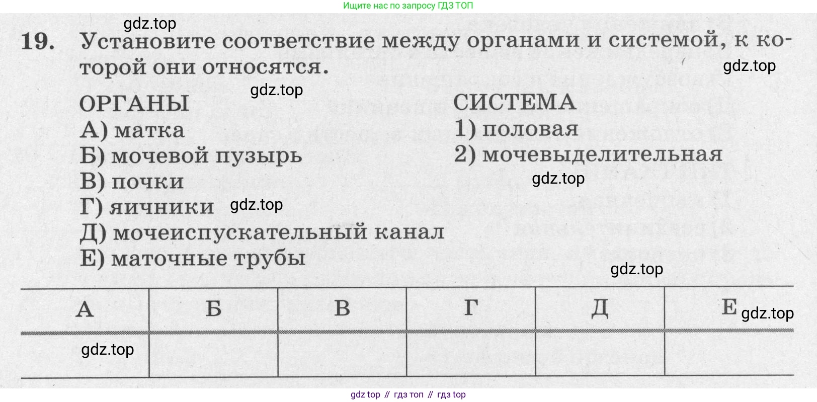 ГДЗ Биология, 8 класс рабочая тетрадь, авторы: Сонин Николай Иванович, Агафонова Инна Борисовна, издательство Просвещение, Москва, 2021, белого цвета, страница 28, номер 19, Условие
