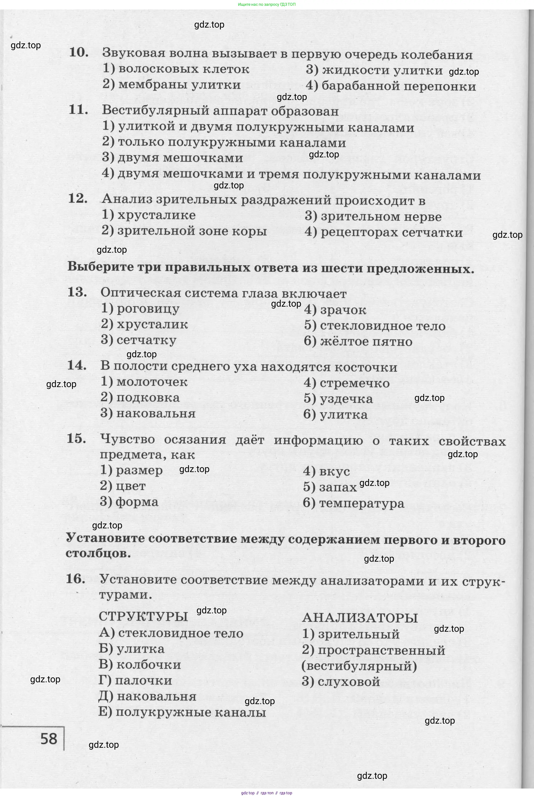 Биология, 8 класс рабочая тетрадь, авторы: Сонин Николай Иванович, Агафонова Инна Борисовна, издательство Просвещение, Москва, 2021, белого цвета, страница 58