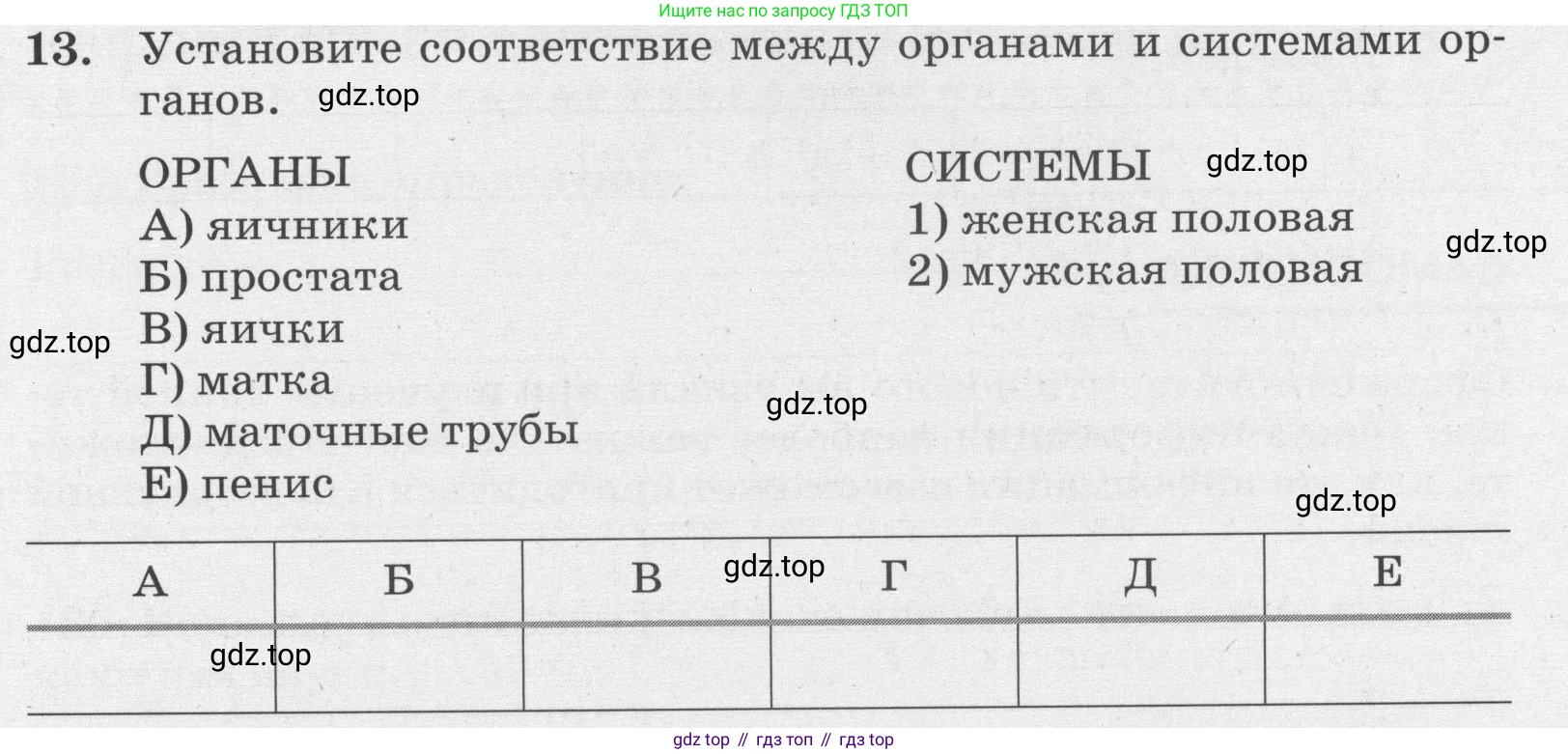 ГДЗ Биология, 8 класс рабочая тетрадь, авторы: Сонин Николай Иванович, Агафонова Инна Борисовна, издательство Просвещение, Москва, 2021, белого цвета, страница 131, номер 13, Условие