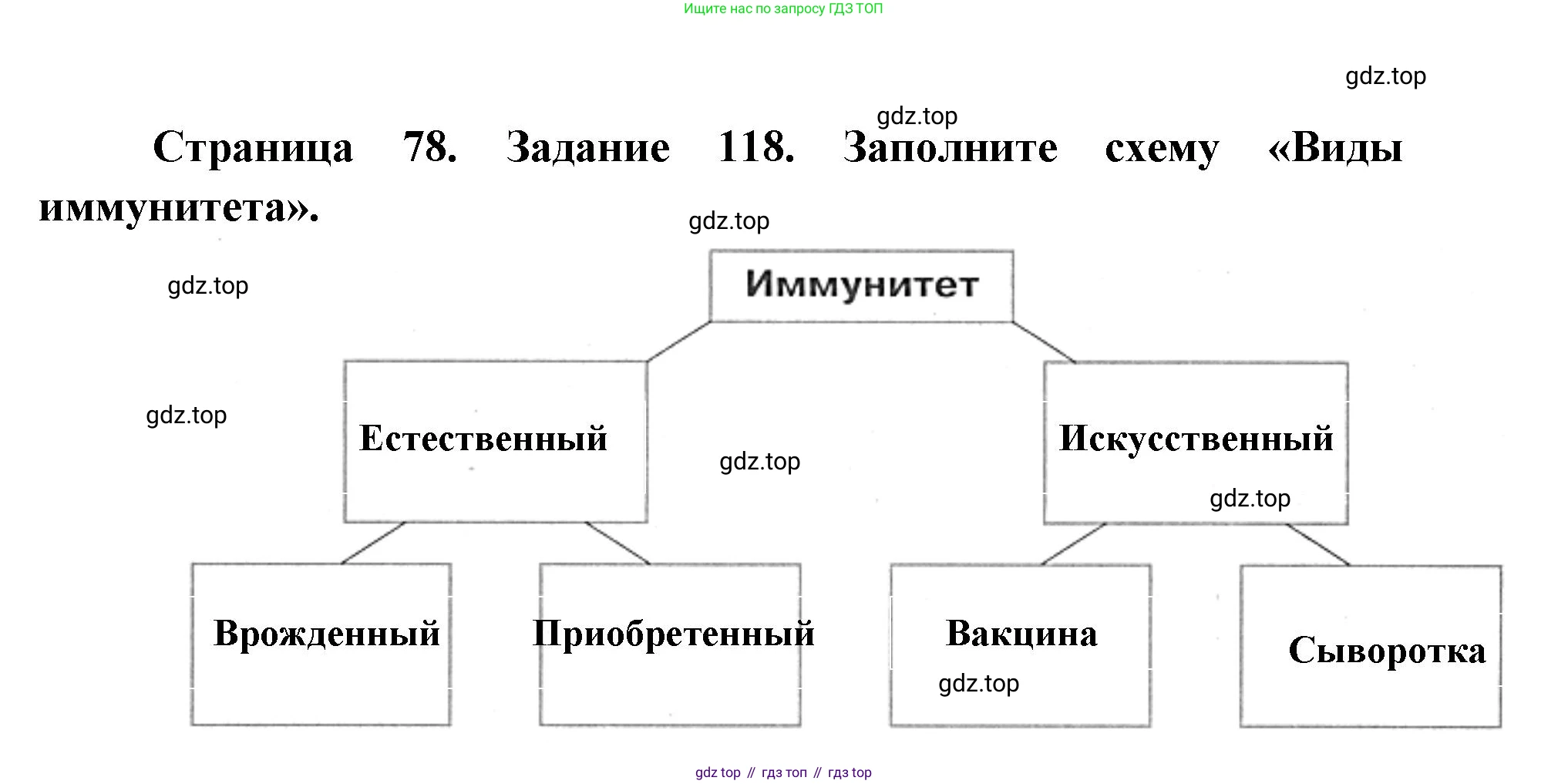 ГДЗ Биология, 8 класс рабочая тетрадь, авторы: Сонин Николай Иванович, Агафонова Инна Борисовна, издательство Просвещение, Москва, 2021, белого цвета, страница 78, номер 118, Решение