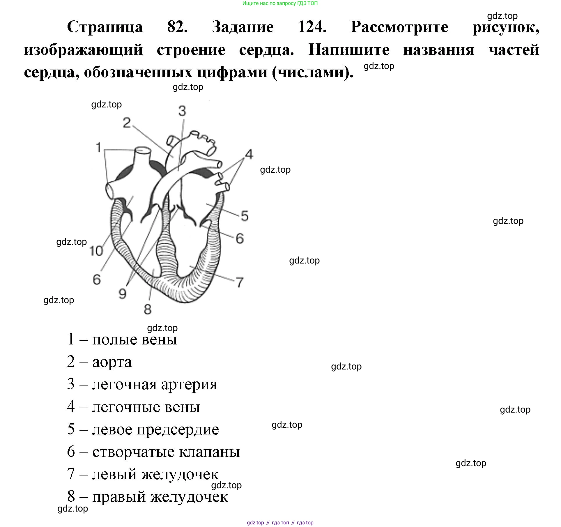 ГДЗ Биология, 8 класс рабочая тетрадь, авторы: Сонин Николай Иванович, Агафонова Инна Борисовна, издательство Просвещение, Москва, 2021, белого цвета, страница 82, номер 124, Решение
