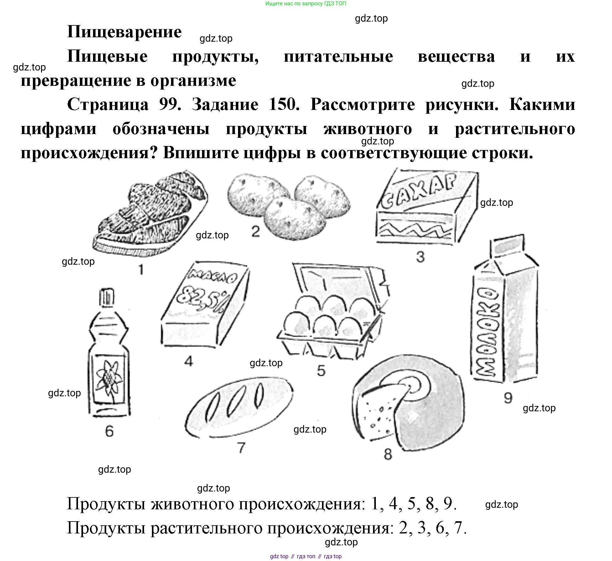 ГДЗ Биология, 8 класс рабочая тетрадь, авторы: Сонин Николай Иванович, Агафонова Инна Борисовна, издательство Просвещение, Москва, 2021, белого цвета, страница 99, номер 150, Решение