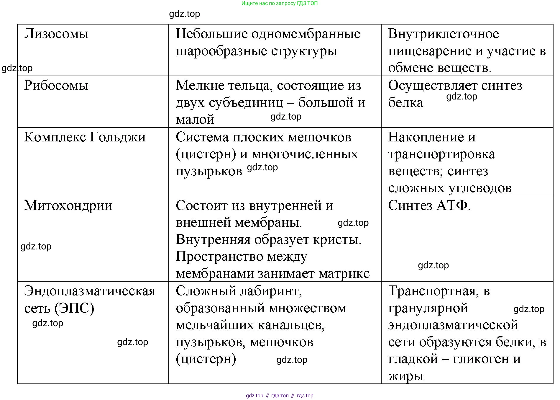 ГДЗ Биология, 8 класс рабочая тетрадь, авторы: Сонин Николай Иванович, Агафонова Инна Борисовна, издательство Просвещение, Москва, 2021, белого цвета, страница 17, номер 18, Решение (продолжение 2)