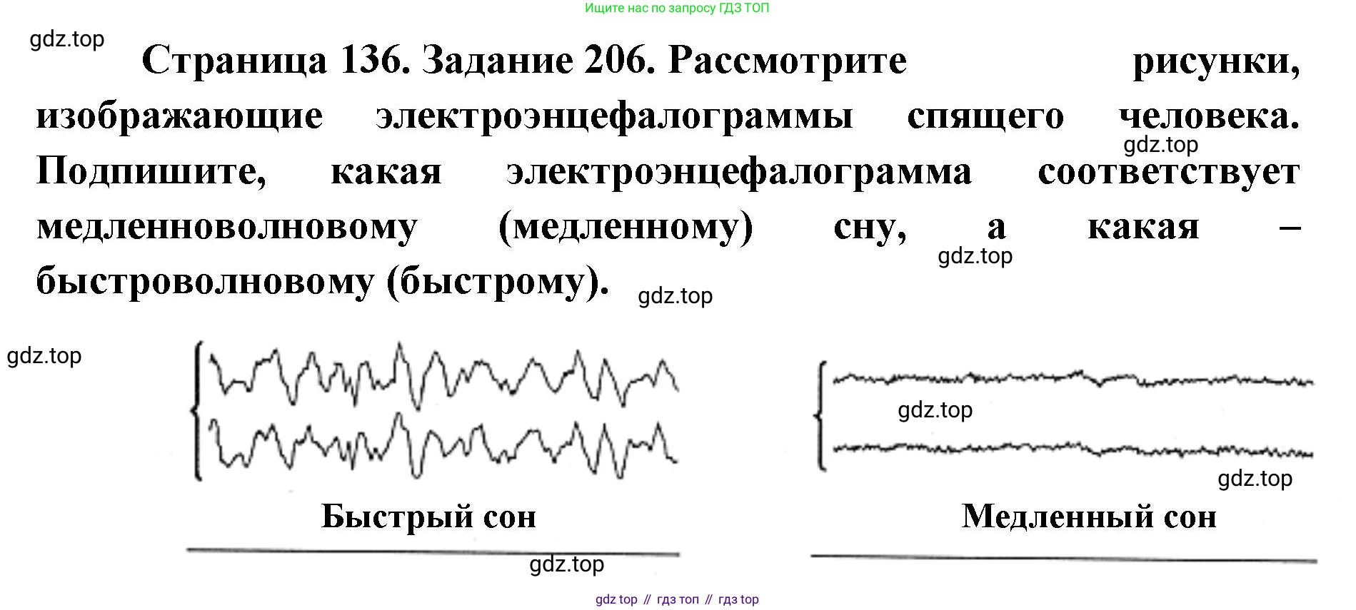 ГДЗ Биология, 8 класс рабочая тетрадь, авторы: Сонин Николай Иванович, Агафонова Инна Борисовна, издательство Просвещение, Москва, 2021, белого цвета, страница 136, номер 206, Решение