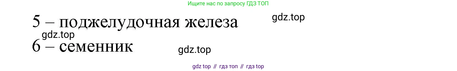 ГДЗ Биология, 8 класс рабочая тетрадь, авторы: Сонин Николай Иванович, Агафонова Инна Борисовна, издательство Просвещение, Москва, 2021, белого цвета, страница 29, номер 37, Решение (продолжение 2)