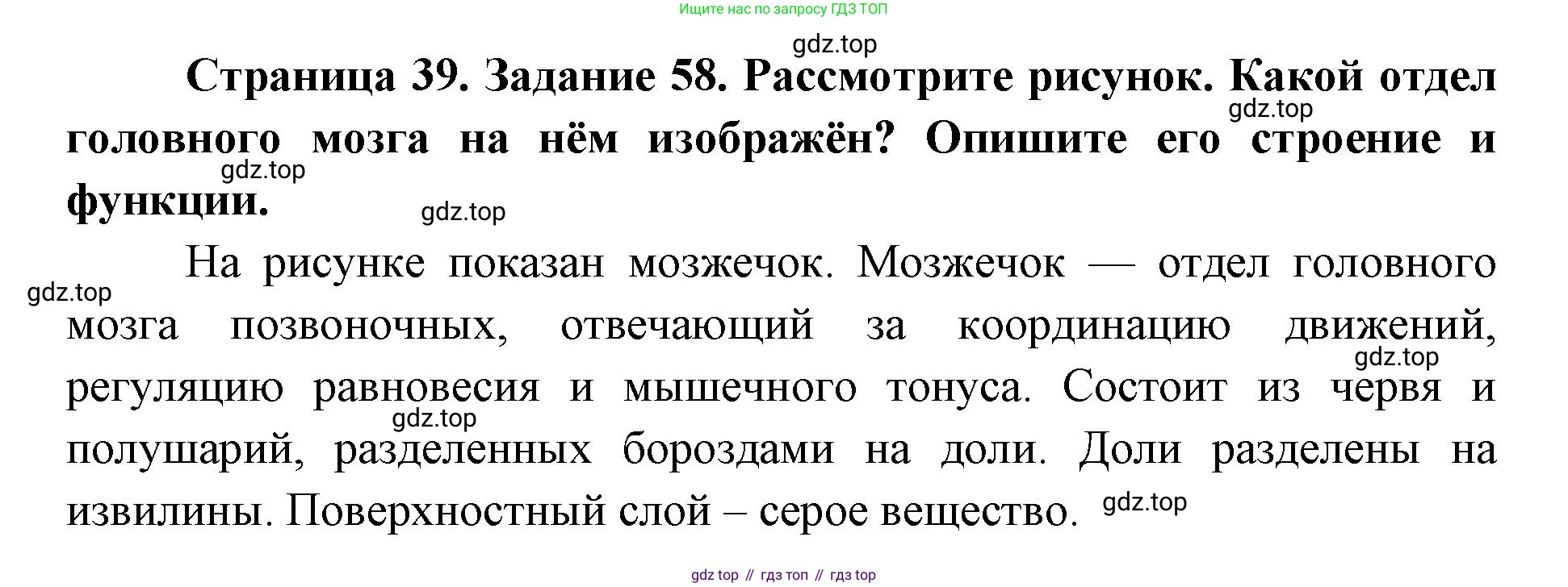 ГДЗ Биология, 8 класс рабочая тетрадь, авторы: Сонин Николай Иванович, Агафонова Инна Борисовна, издательство Просвещение, Москва, 2021, белого цвета, страница 39, номер 58, Решение