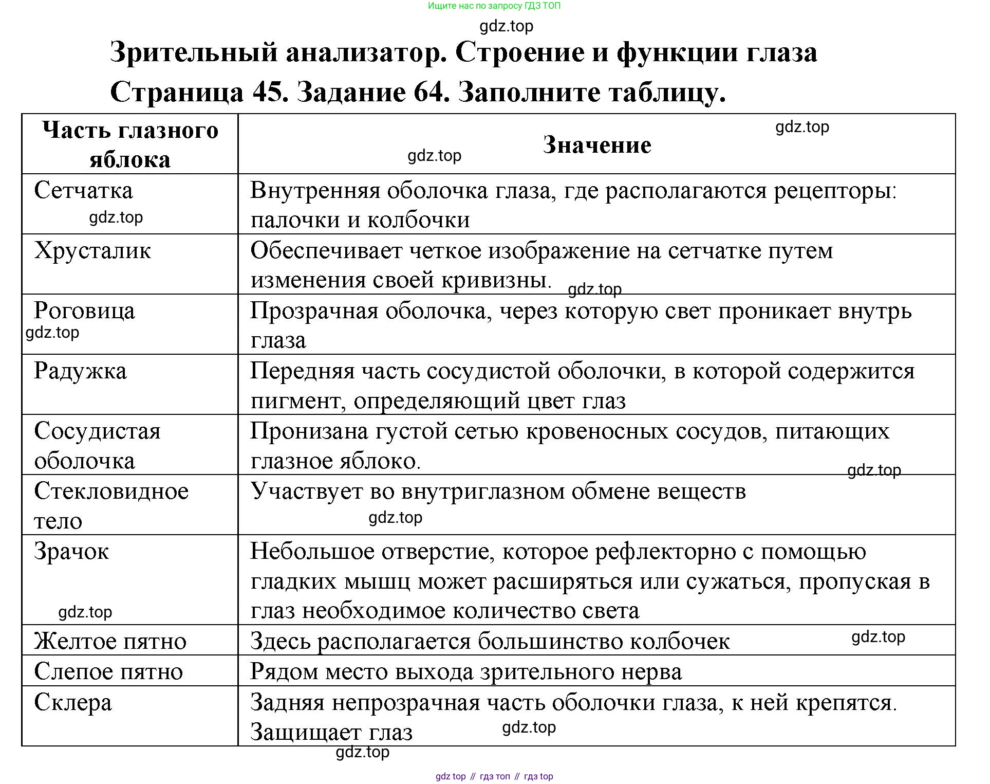 ГДЗ Биология, 8 класс рабочая тетрадь, авторы: Сонин Николай Иванович, Агафонова Инна Борисовна, издательство Просвещение, Москва, 2021, белого цвета, страница 45, номер 64, Решение