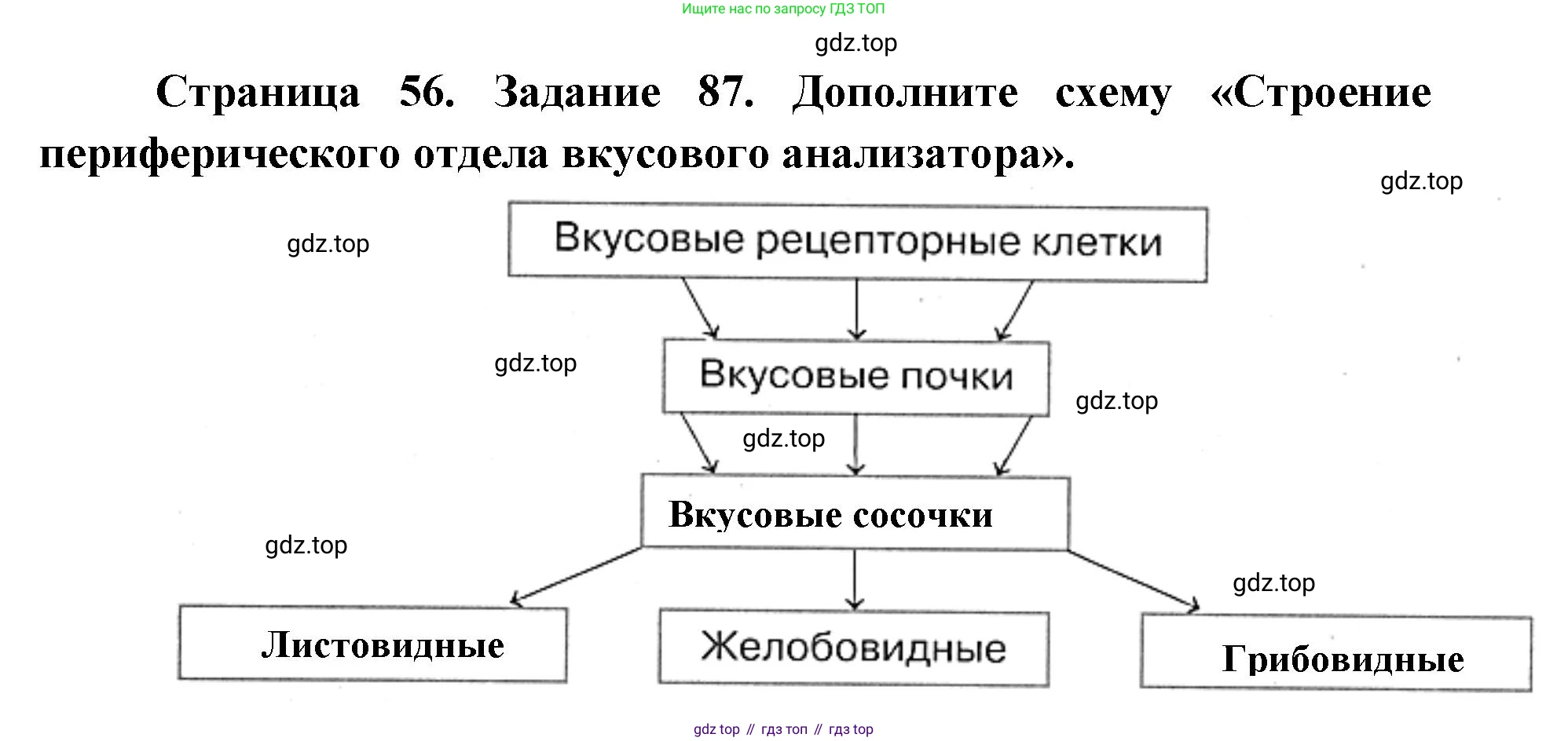 ГДЗ Биология, 8 класс рабочая тетрадь, авторы: Сонин Николай Иванович, Агафонова Инна Борисовна, издательство Просвещение, Москва, 2021, белого цвета, страница 56, номер 87, Решение