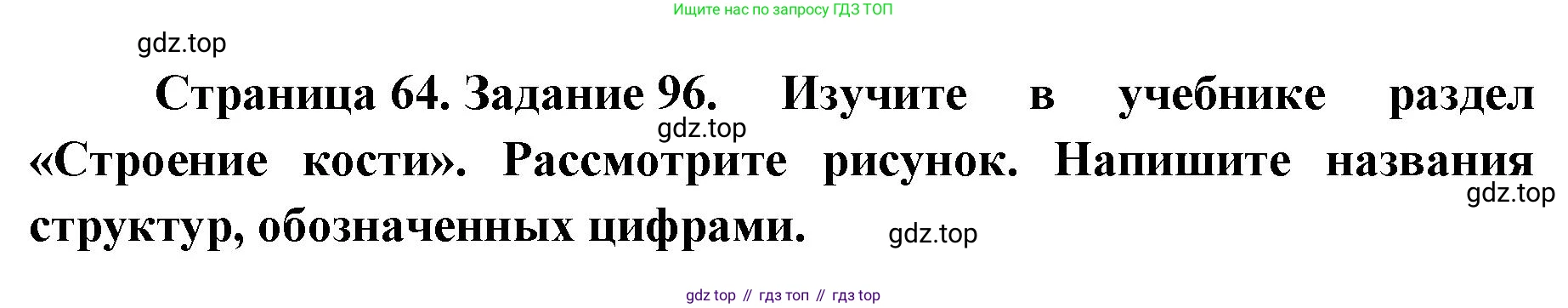 ГДЗ Биология, 8 класс рабочая тетрадь, авторы: Сонин Николай Иванович, Агафонова Инна Борисовна, издательство Просвещение, Москва, 2021, белого цвета, страница 64, номер 96, Решение