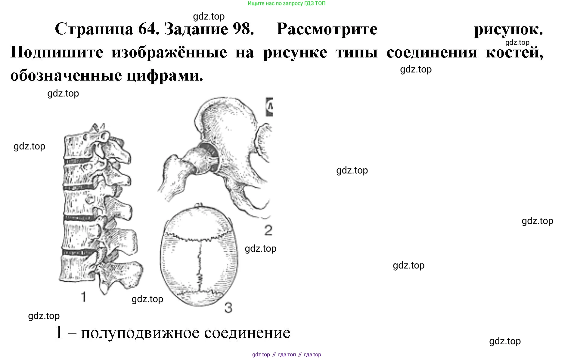 ГДЗ Биология, 8 класс рабочая тетрадь, авторы: Сонин Николай Иванович, Агафонова Инна Борисовна, издательство Просвещение, Москва, 2021, белого цвета, страница 64, номер 98, Решение