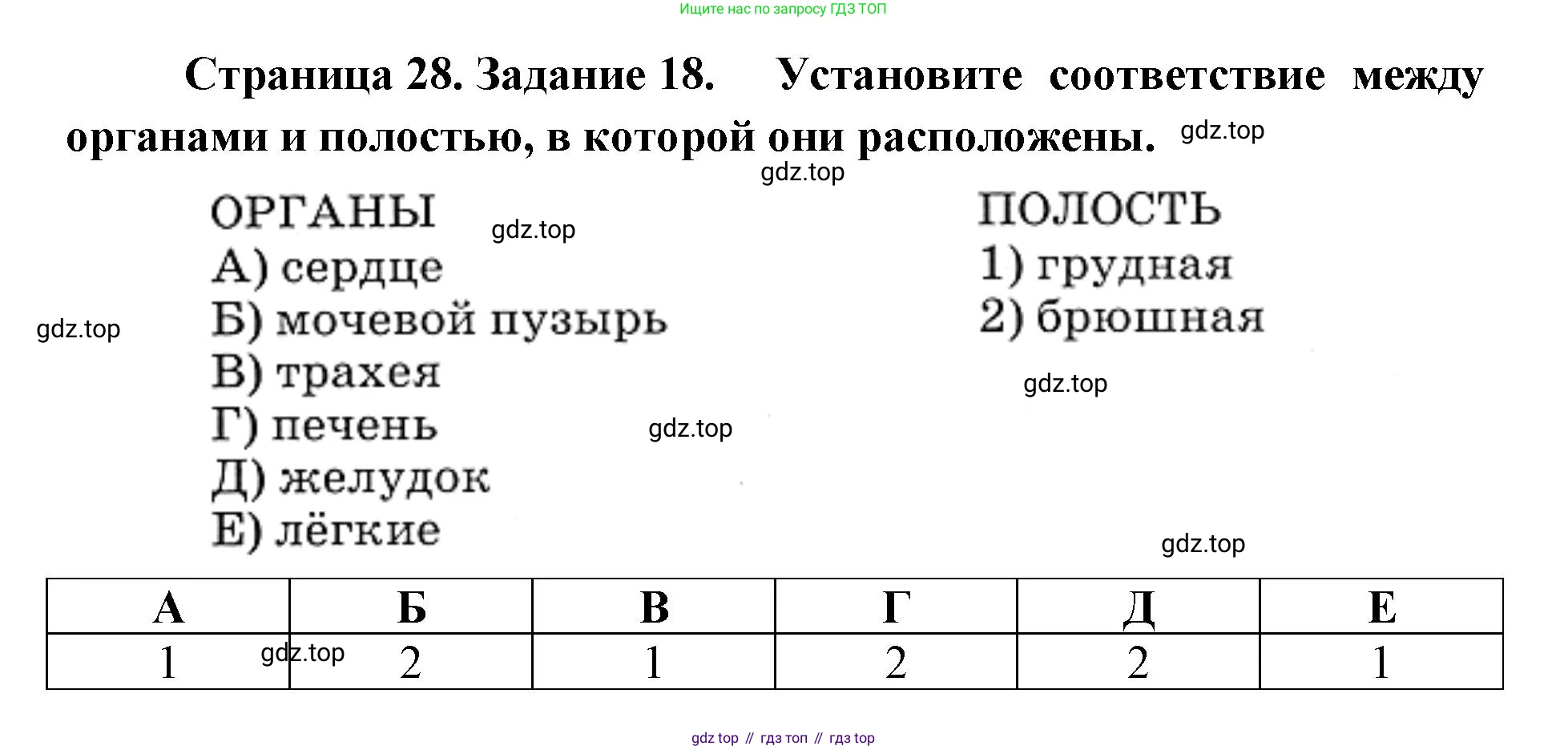 ГДЗ Биология, 8 класс рабочая тетрадь, авторы: Сонин Николай Иванович, Агафонова Инна Борисовна, издательство Просвещение, Москва, 2021, белого цвета, страница 28, номер 18, Решение