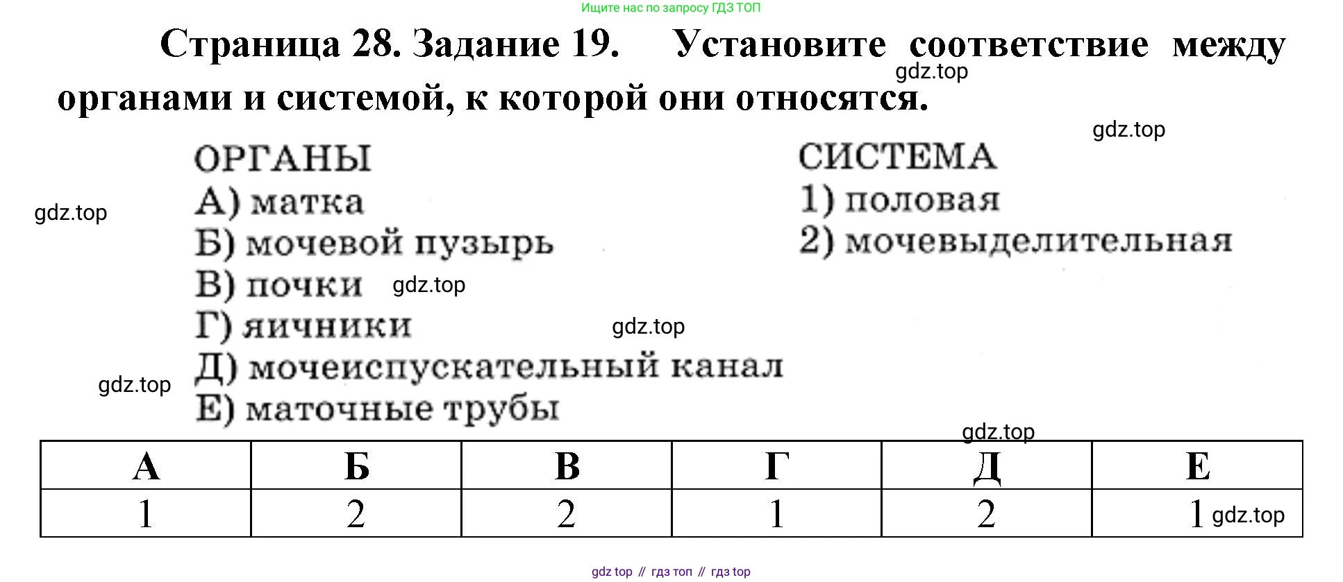 ГДЗ Биология, 8 класс рабочая тетрадь, авторы: Сонин Николай Иванович, Агафонова Инна Борисовна, издательство Просвещение, Москва, 2021, белого цвета, страница 28, номер 19, Решение
