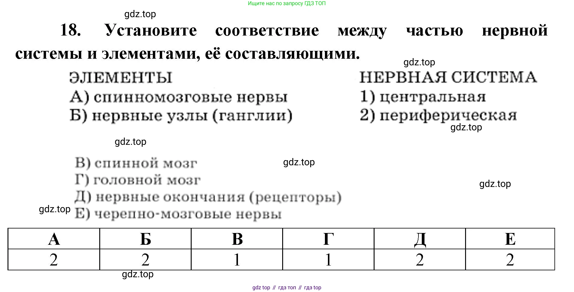 ГДЗ Биология, 8 класс рабочая тетрадь, авторы: Сонин Николай Иванович, Агафонова Инна Борисовна, издательство Просвещение, Москва, 2021, белого цвета, страница 43, номер 18, Решение