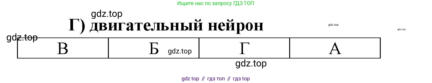 ГДЗ Биология, 8 класс рабочая тетрадь, авторы: Сонин Николай Иванович, Агафонова Инна Борисовна, издательство Просвещение, Москва, 2021, белого цвета, страница 44, номер 19, Решение (продолжение 2)