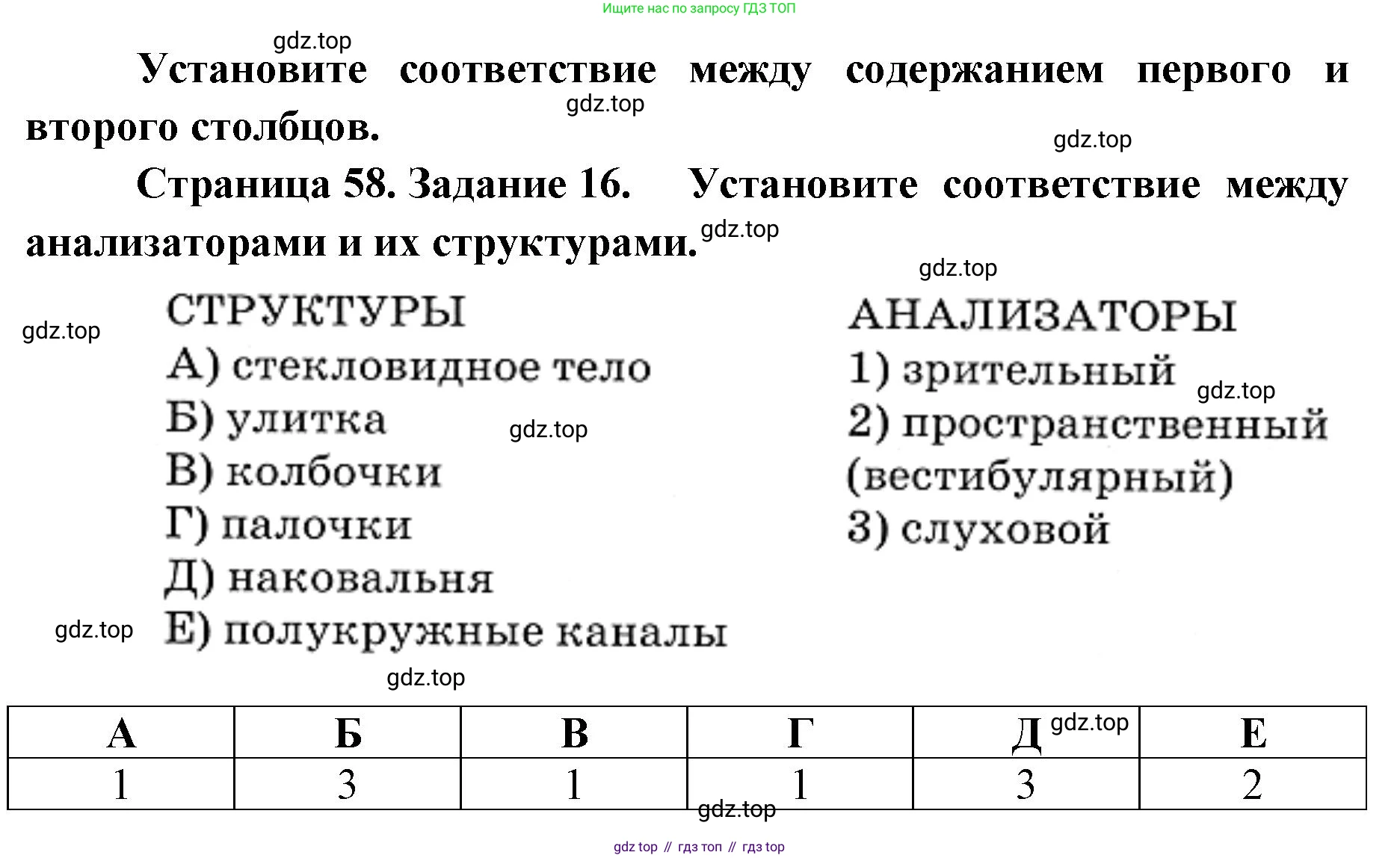 ГДЗ Биология, 8 класс рабочая тетрадь, авторы: Сонин Николай Иванович, Агафонова Инна Борисовна, издательство Просвещение, Москва, 2021, белого цвета, страница 58, номер 16, Решение