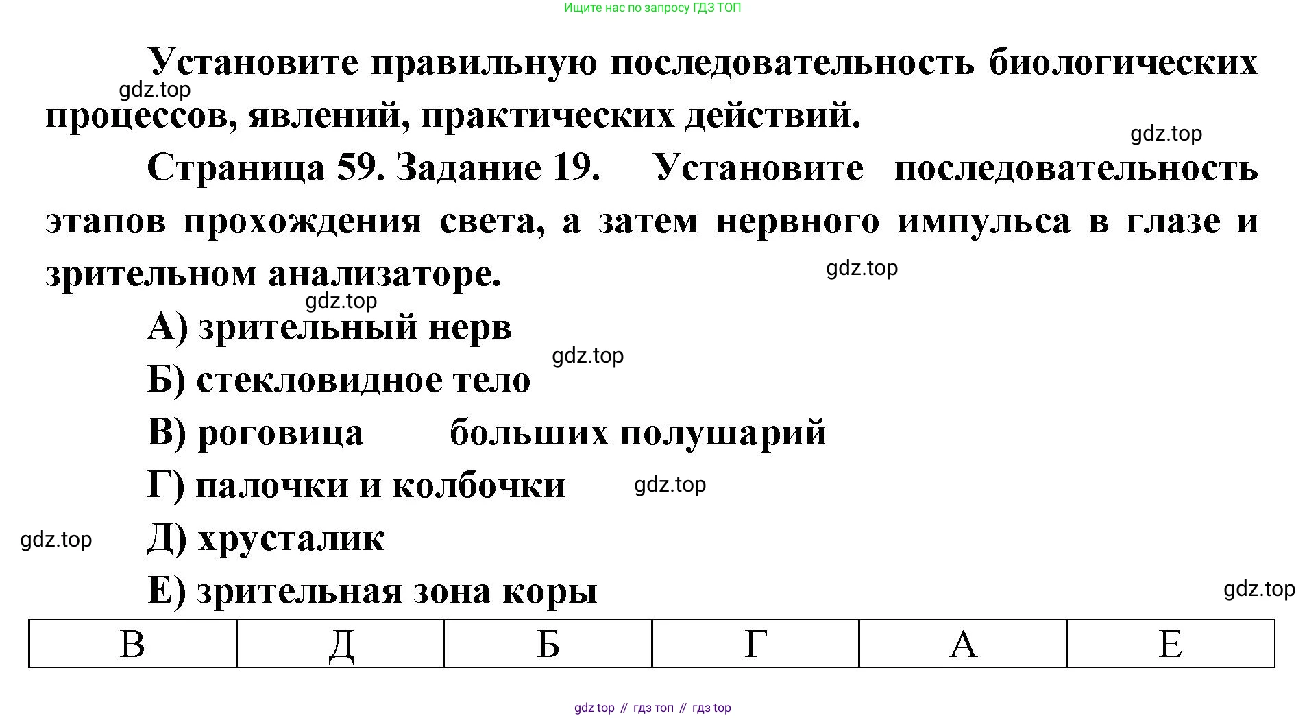 ГДЗ Биология, 8 класс рабочая тетрадь, авторы: Сонин Николай Иванович, Агафонова Инна Борисовна, издательство Просвещение, Москва, 2021, белого цвета, страница 59, номер 19, Решение