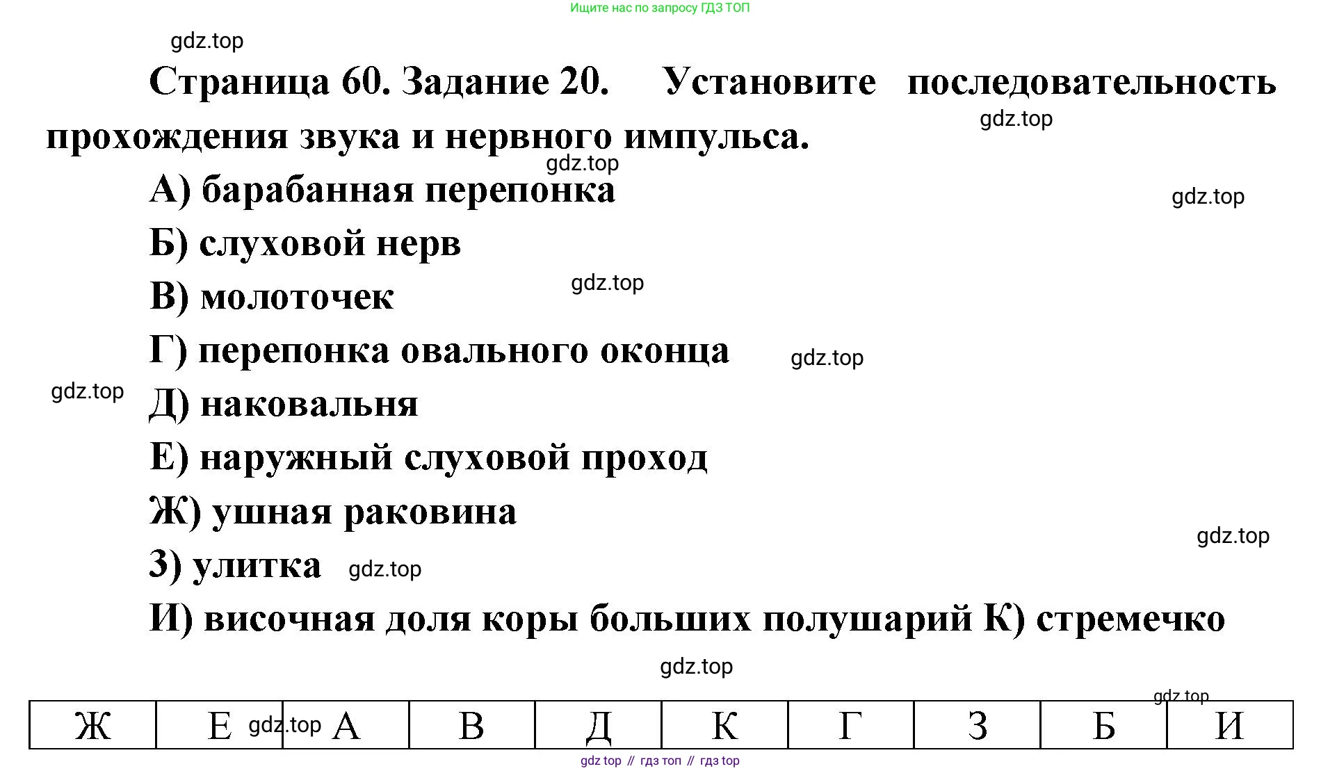 ГДЗ Биология, 8 класс рабочая тетрадь, авторы: Сонин Николай Иванович, Агафонова Инна Борисовна, издательство Просвещение, Москва, 2021, белого цвета, страница 60, номер 20, Решение