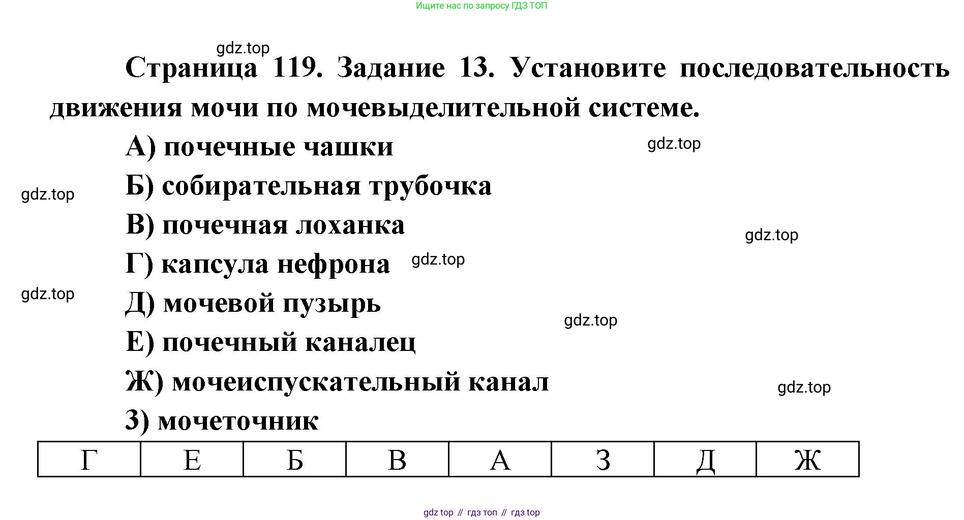 ГДЗ Биология, 8 класс рабочая тетрадь, авторы: Сонин Николай Иванович, Агафонова Инна Борисовна, издательство Просвещение, Москва, 2021, белого цвета, страница 120, номер 13, Решение