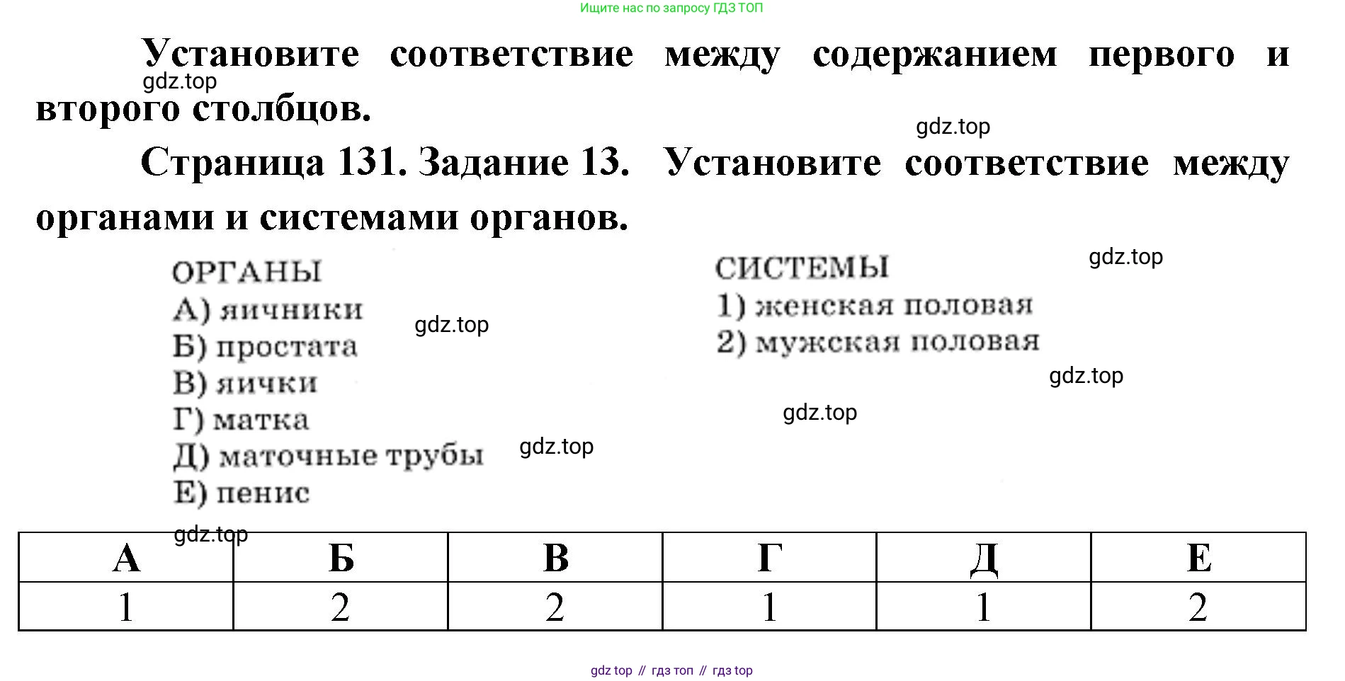 ГДЗ Биология, 8 класс рабочая тетрадь, авторы: Сонин Николай Иванович, Агафонова Инна Борисовна, издательство Просвещение, Москва, 2021, белого цвета, страница 131, номер 13, Решение