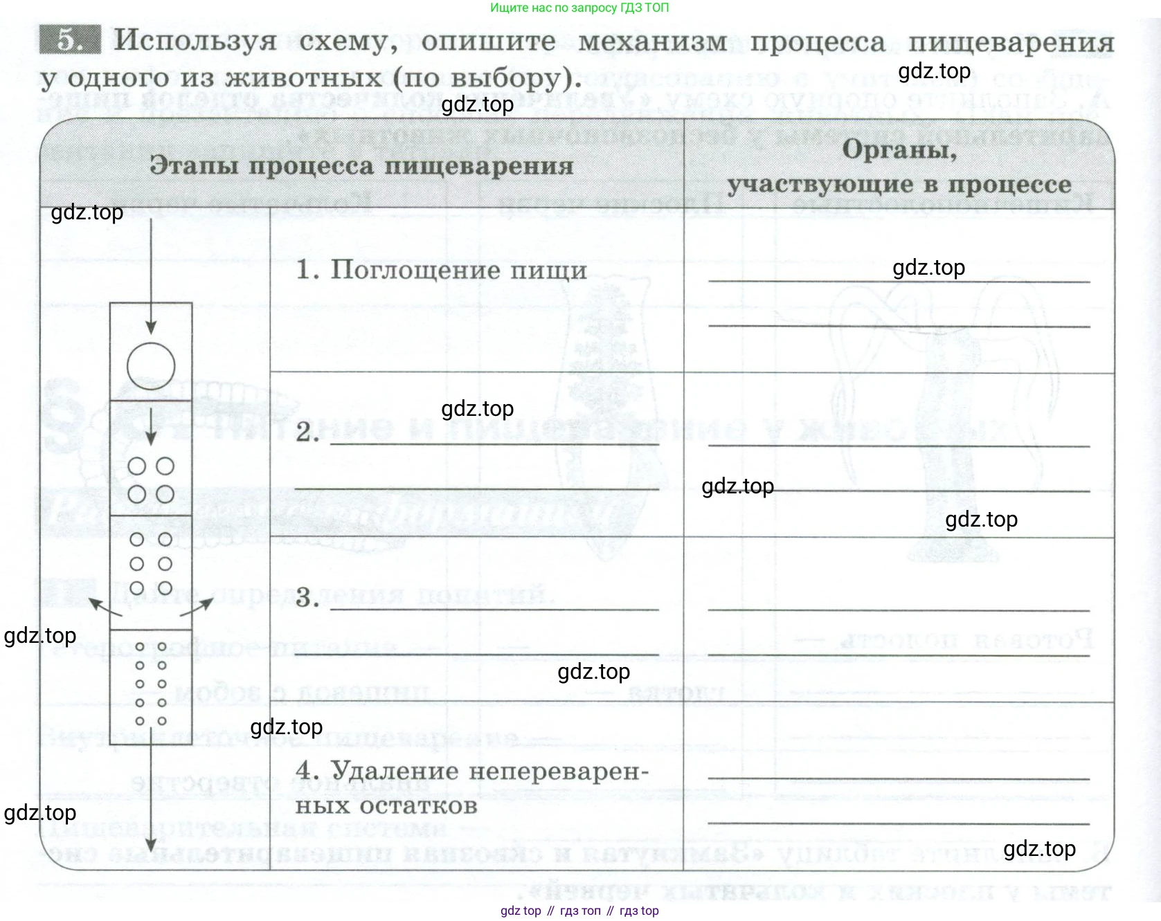 Биология, 8 класс рабочая тетрадь, авторы: Суматохин Сергей Витальевич, Пасечник Владимир Васильевич, Гапонюк Зоя Георгиевна, издательство Просвещение, Москва, 2023, оранжевого цвета, страница 22, номер 5, Условие