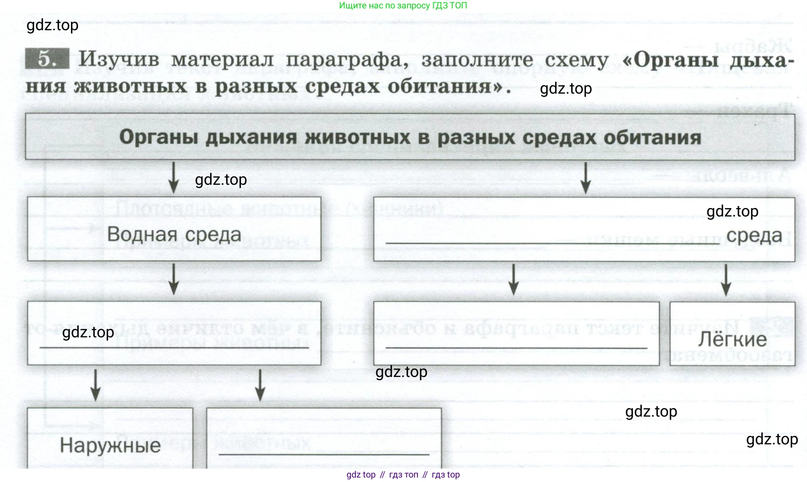 Биология, 8 класс рабочая тетрадь, авторы: Суматохин Сергей Витальевич, Пасечник Владимир Васильевич, Гапонюк Зоя Георгиевна, издательство Просвещение, Москва, 2023, оранжевого цвета, страница 24, номер 5, Условие