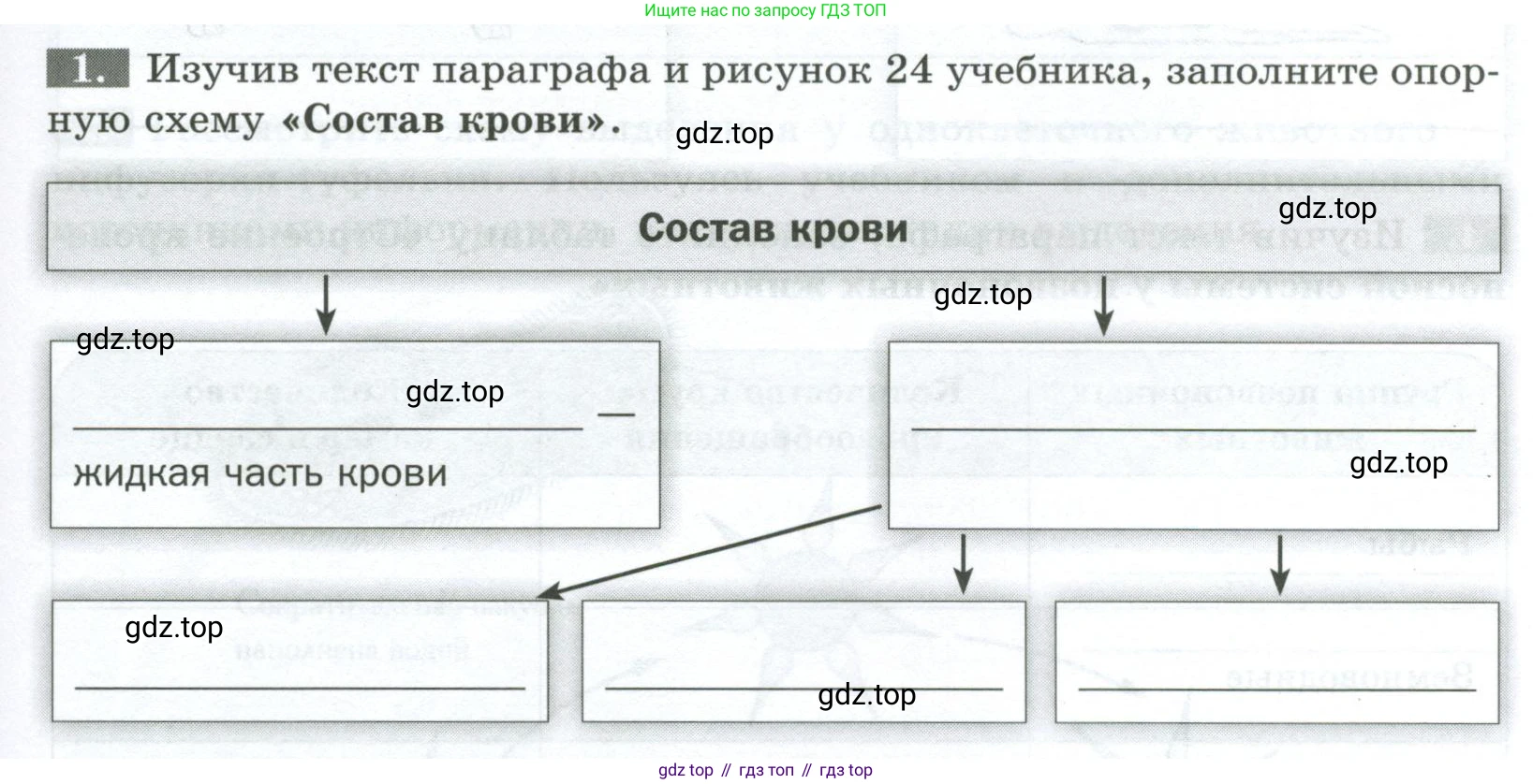 Биология, 8 класс рабочая тетрадь, авторы: Суматохин Сергей Витальевич, Пасечник Владимир Васильевич, Гапонюк Зоя Георгиевна, издательство Просвещение, Москва, 2023, оранжевого цвета, страница 25, номер 1, Условие