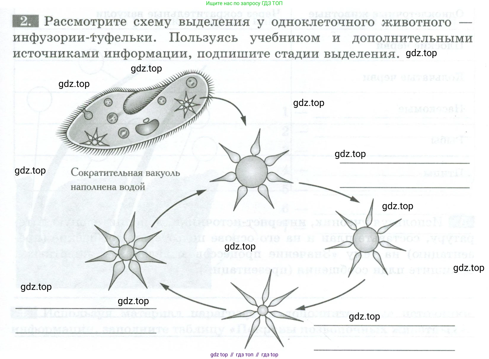 Биология, 8 класс рабочая тетрадь, авторы: Суматохин Сергей Витальевич, Пасечник Владимир Васильевич, Гапонюк Зоя Георгиевна, издательство Просвещение, Москва, 2023, оранжевого цвета, страница 27, номер 2, Условие