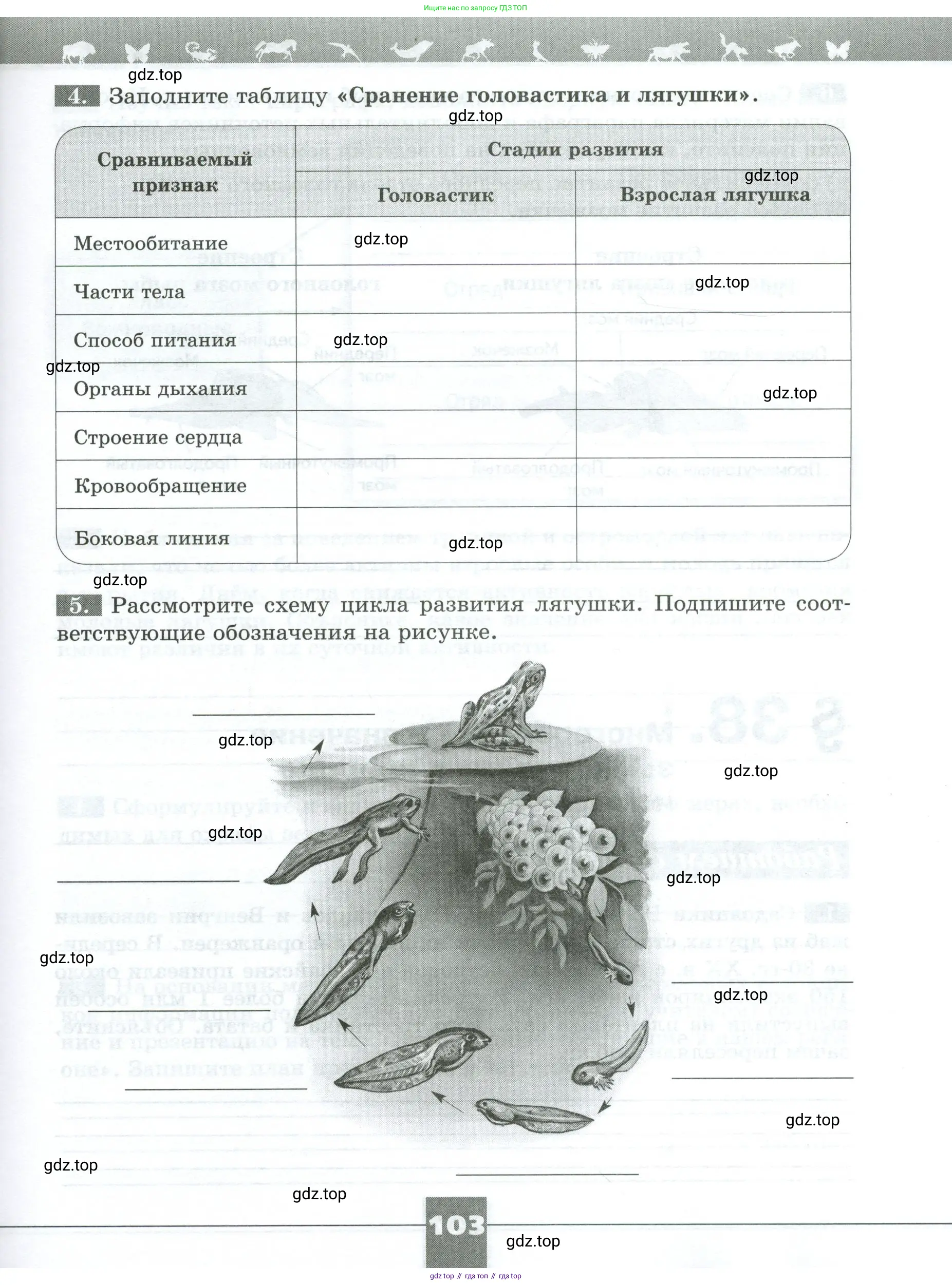 Биология, 8 класс рабочая тетрадь, авторы: Суматохин Сергей Витальевич, Пасечник Владимир Васильевич, Гапонюк Зоя Георгиевна, издательство Просвещение, Москва, 2023, оранжевого цвета, страница 103