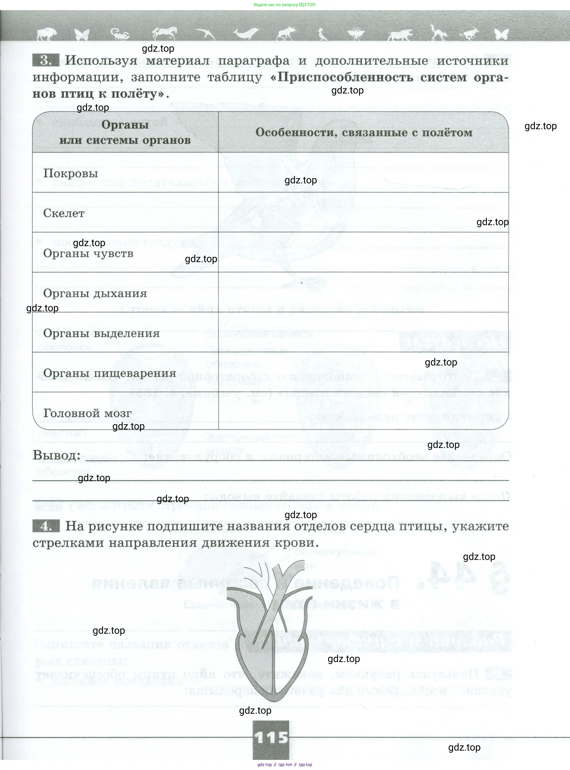 Биология, 8 класс рабочая тетрадь, авторы: Суматохин Сергей Витальевич, Пасечник Владимир Васильевич, Гапонюк Зоя Георгиевна, издательство Просвещение, Москва, 2023, оранжевого цвета, страница 115