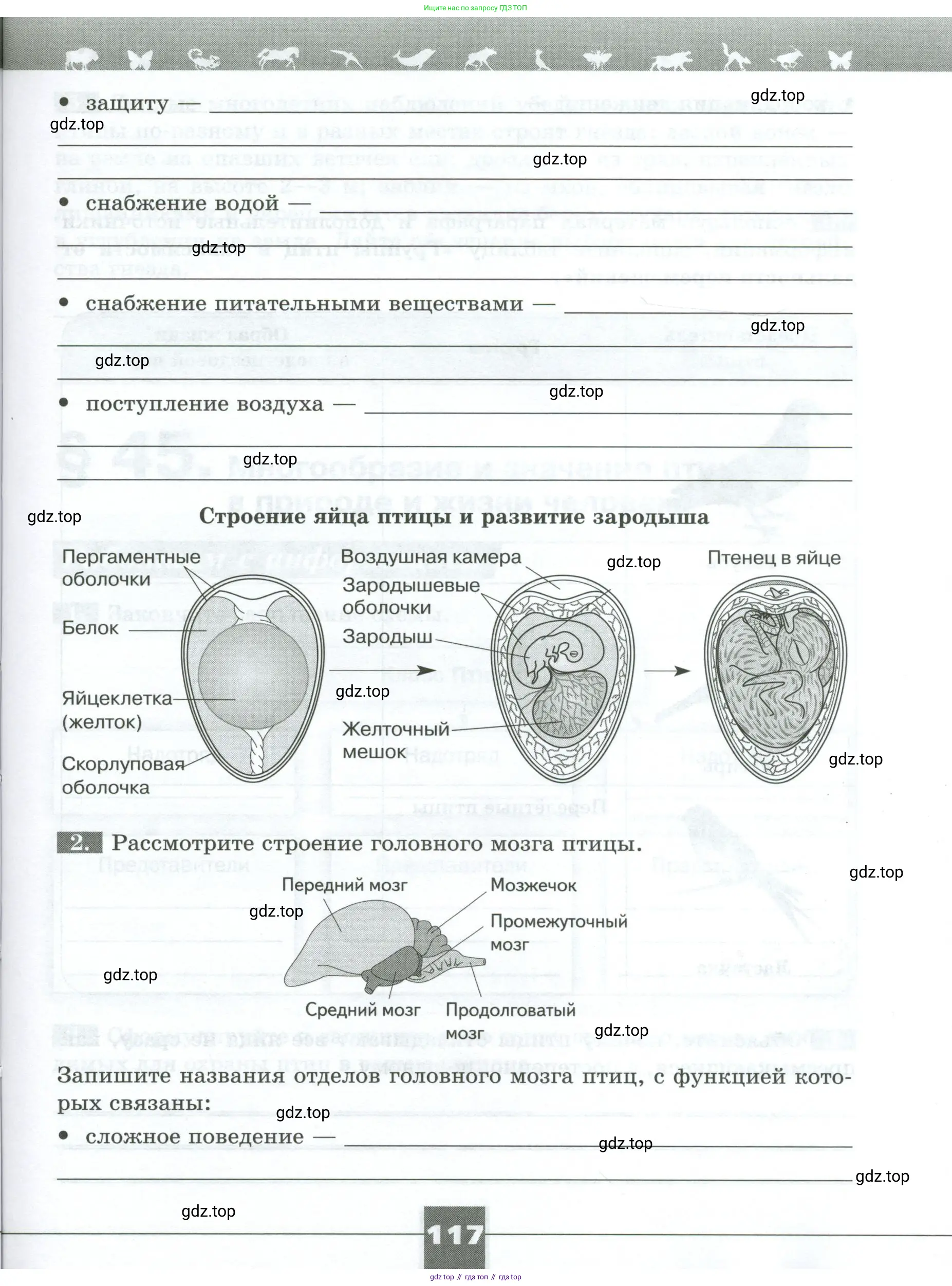 Биология, 8 класс рабочая тетрадь, авторы: Суматохин Сергей Витальевич, Пасечник Владимир Васильевич, Гапонюк Зоя Георгиевна, издательство Просвещение, Москва, 2023, оранжевого цвета, страница 117
