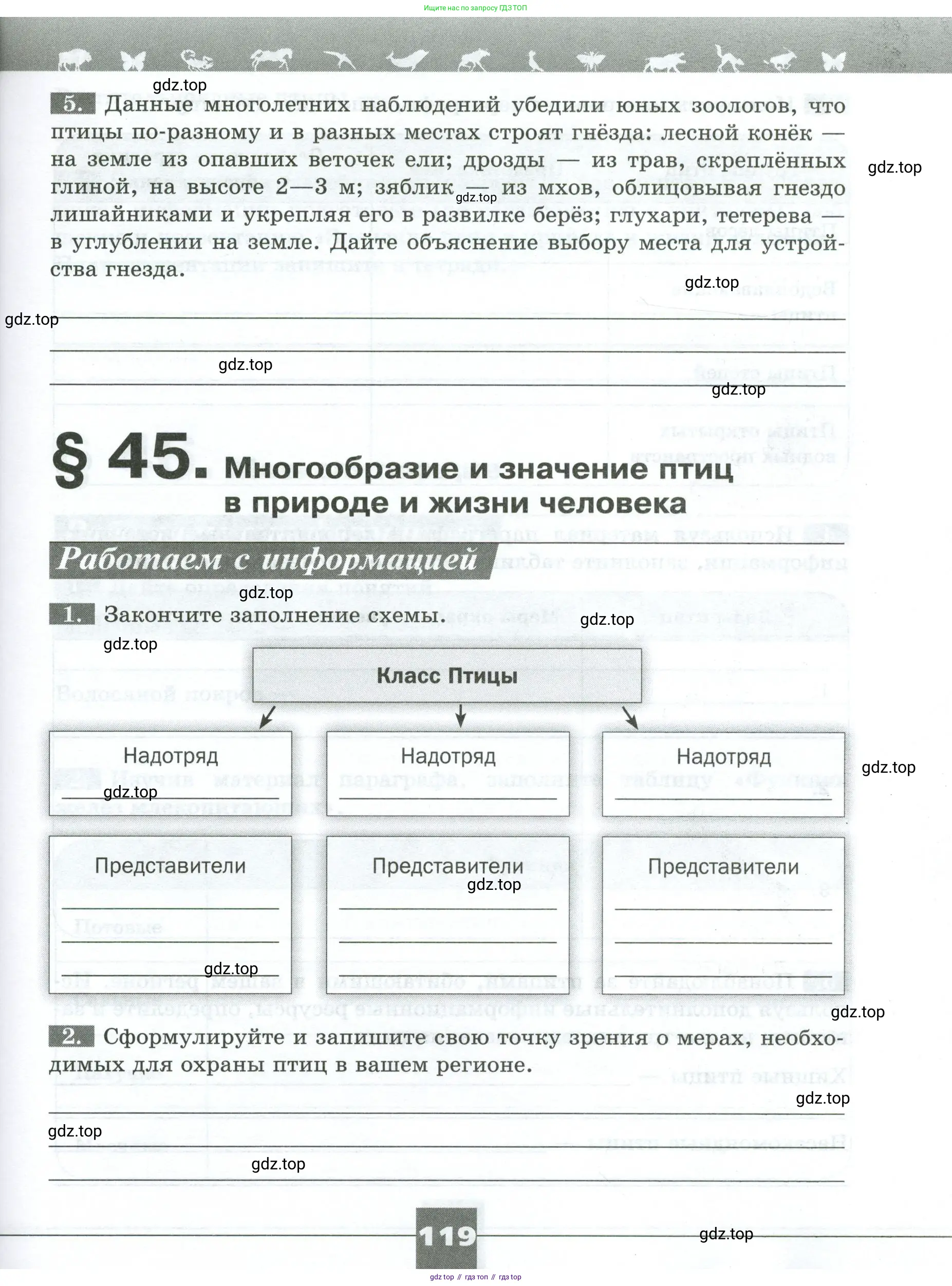 Биология, 8 класс рабочая тетрадь, авторы: Суматохин Сергей Витальевич, Пасечник Владимир Васильевич, Гапонюк Зоя Георгиевна, издательство Просвещение, Москва, 2023, оранжевого цвета, страница 119