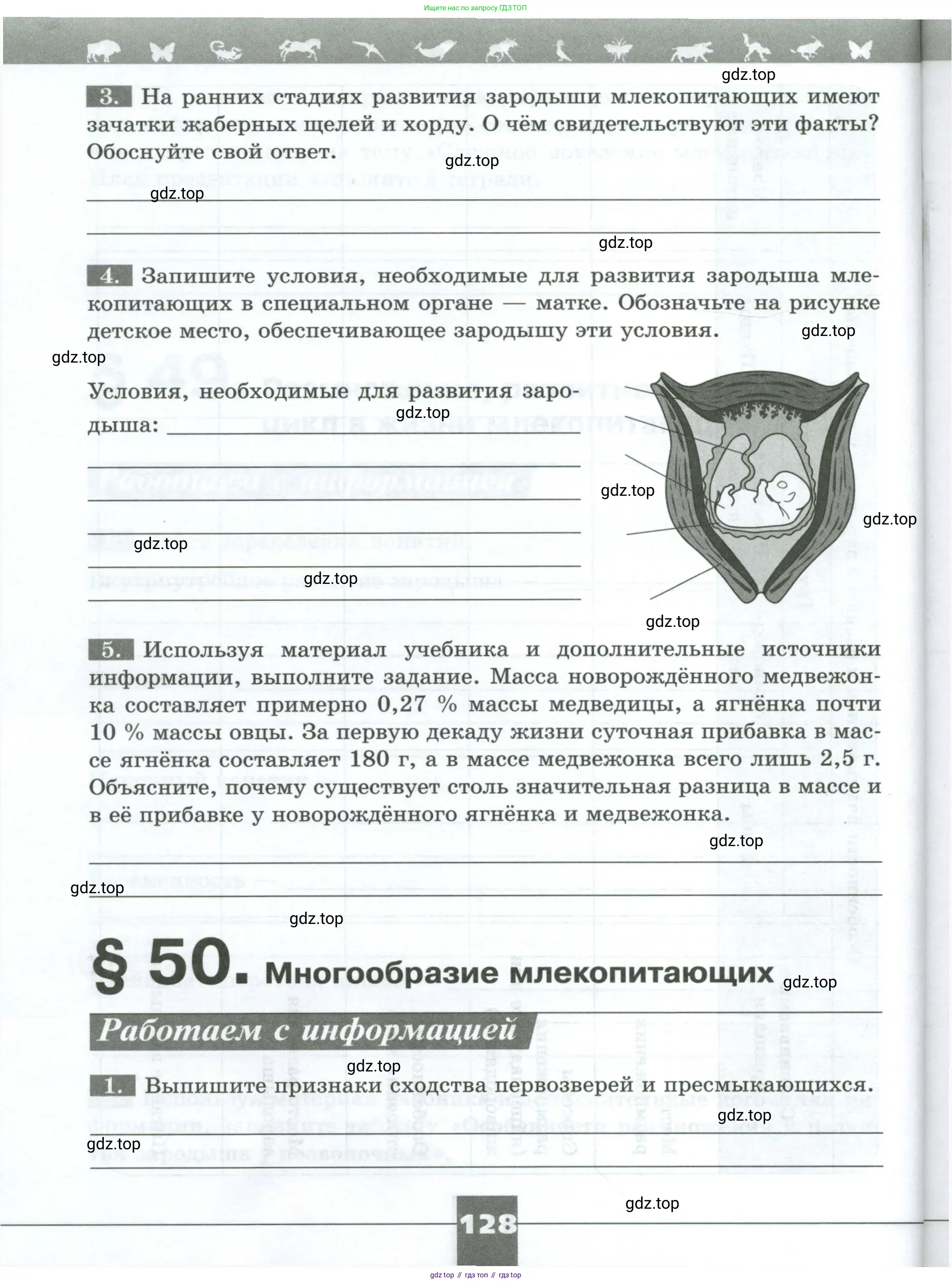 Биология, 8 класс рабочая тетрадь, авторы: Суматохин Сергей Витальевич, Пасечник Владимир Васильевич, Гапонюк Зоя Георгиевна, издательство Просвещение, Москва, 2023, оранжевого цвета, страница 128