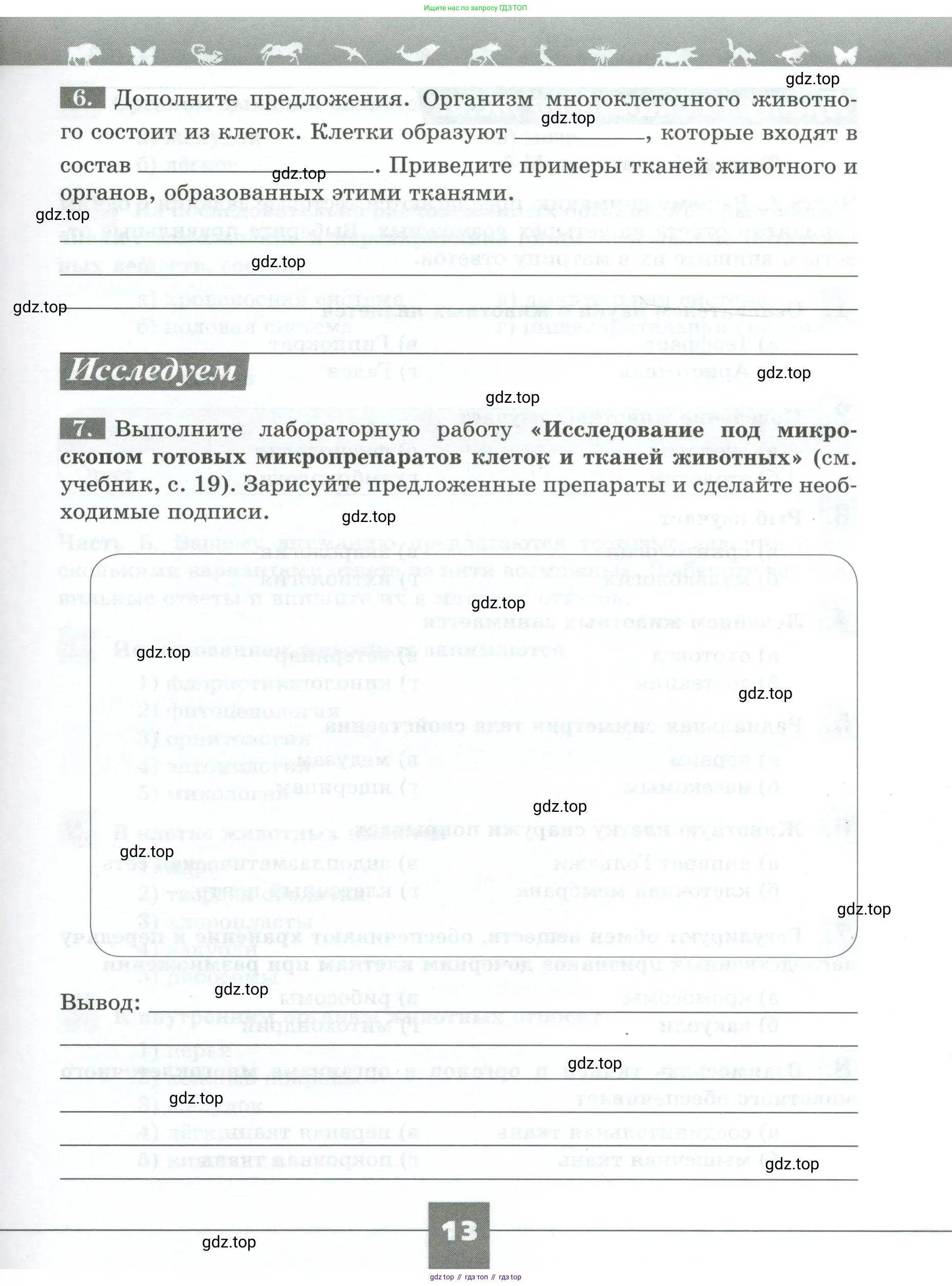 Биология, 8 класс рабочая тетрадь, авторы: Суматохин Сергей Витальевич, Пасечник Владимир Васильевич, Гапонюк Зоя Георгиевна, издательство Просвещение, Москва, 2023, оранжевого цвета, страница 13