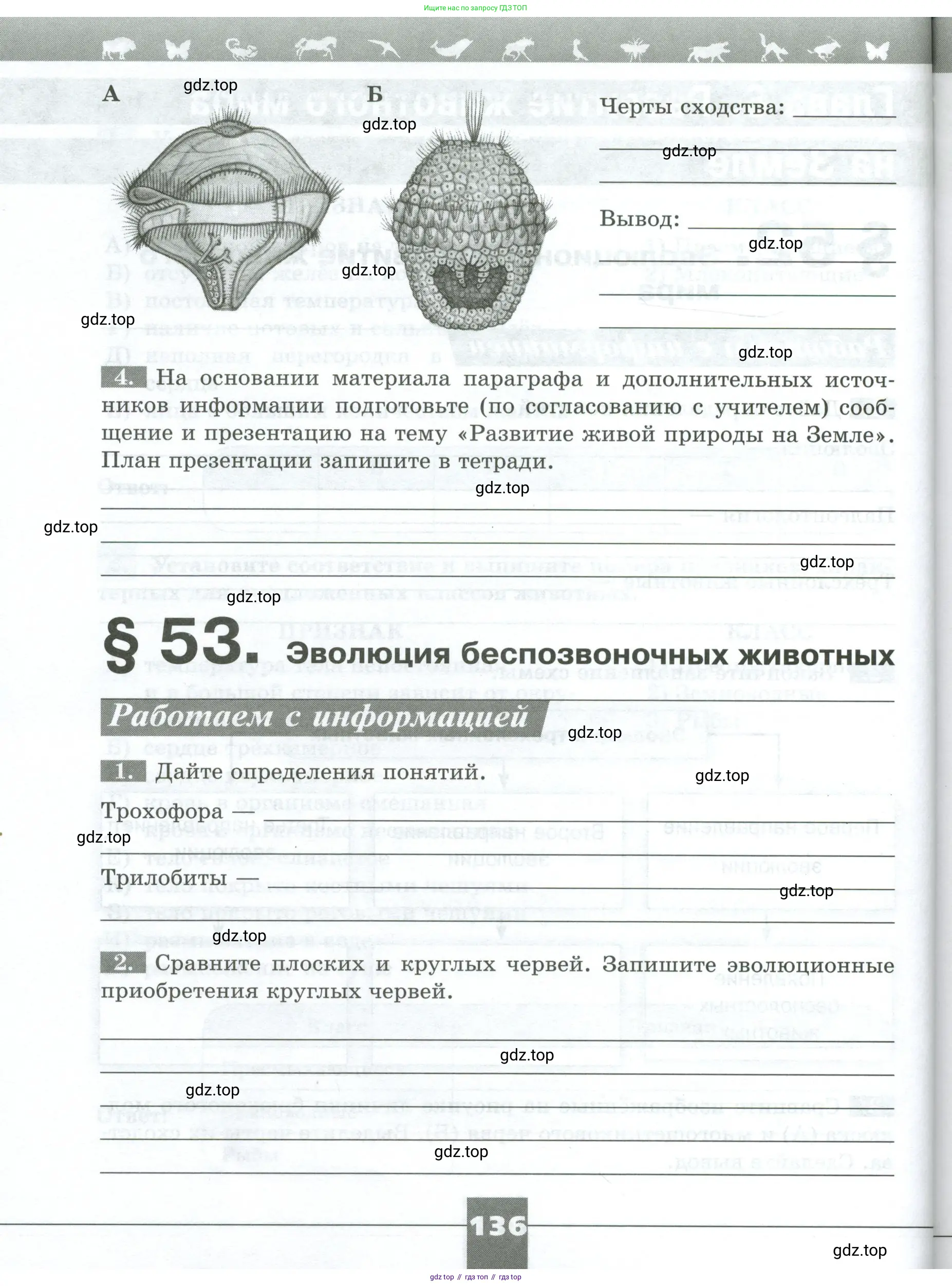 Биология, 8 класс рабочая тетрадь, авторы: Суматохин Сергей Витальевич, Пасечник Владимир Васильевич, Гапонюк Зоя Георгиевна, издательство Просвещение, Москва, 2023, оранжевого цвета, страница 136