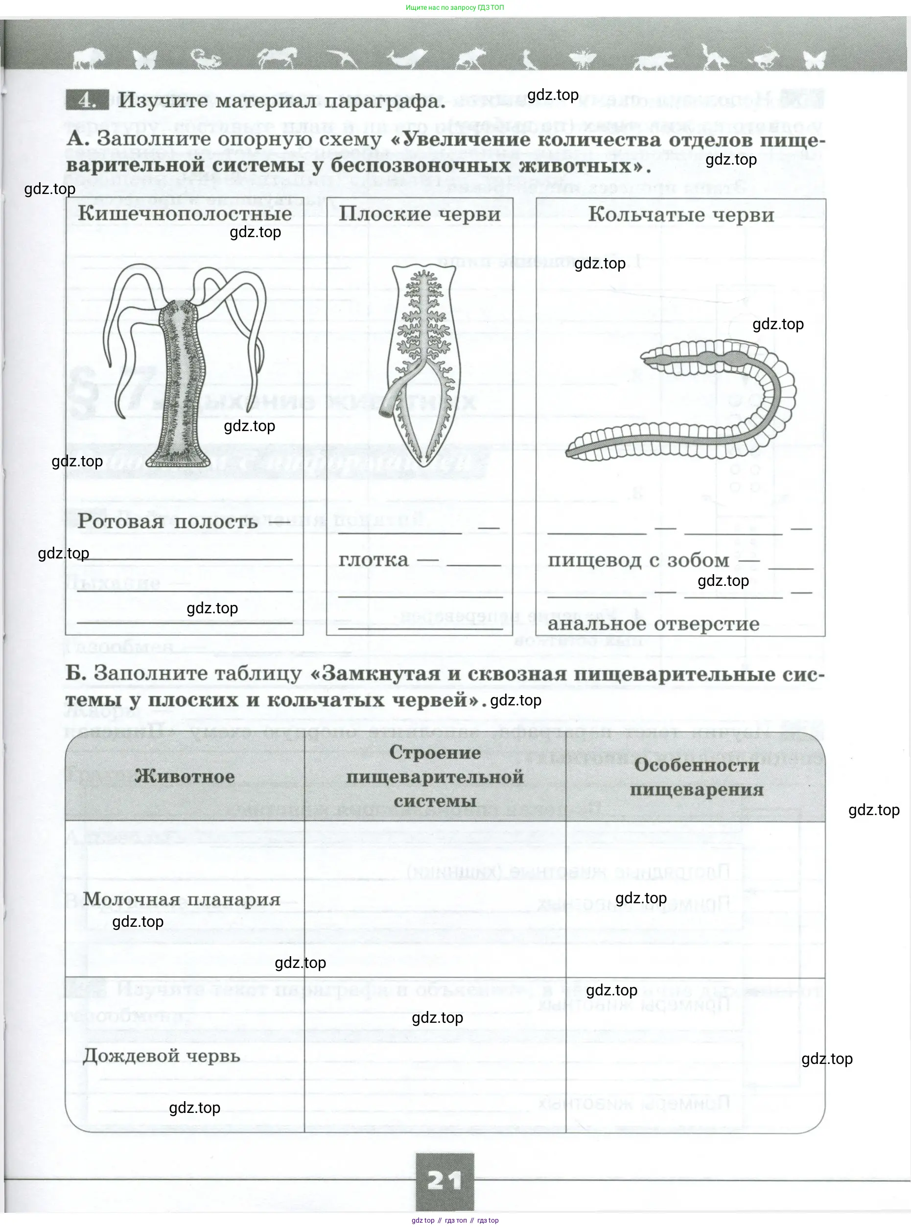 Биология, 8 класс рабочая тетрадь, авторы: Суматохин Сергей Витальевич, Пасечник Владимир Васильевич, Гапонюк Зоя Георгиевна, издательство Просвещение, Москва, 2023, оранжевого цвета, страница 21