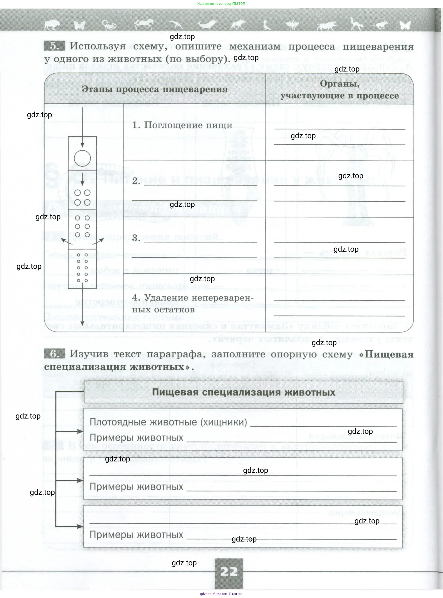 Биология, 8 класс рабочая тетрадь, авторы: Суматохин Сергей Витальевич, Пасечник Владимир Васильевич, Гапонюк Зоя Георгиевна, издательство Просвещение, Москва, 2023, оранжевого цвета, страница 22