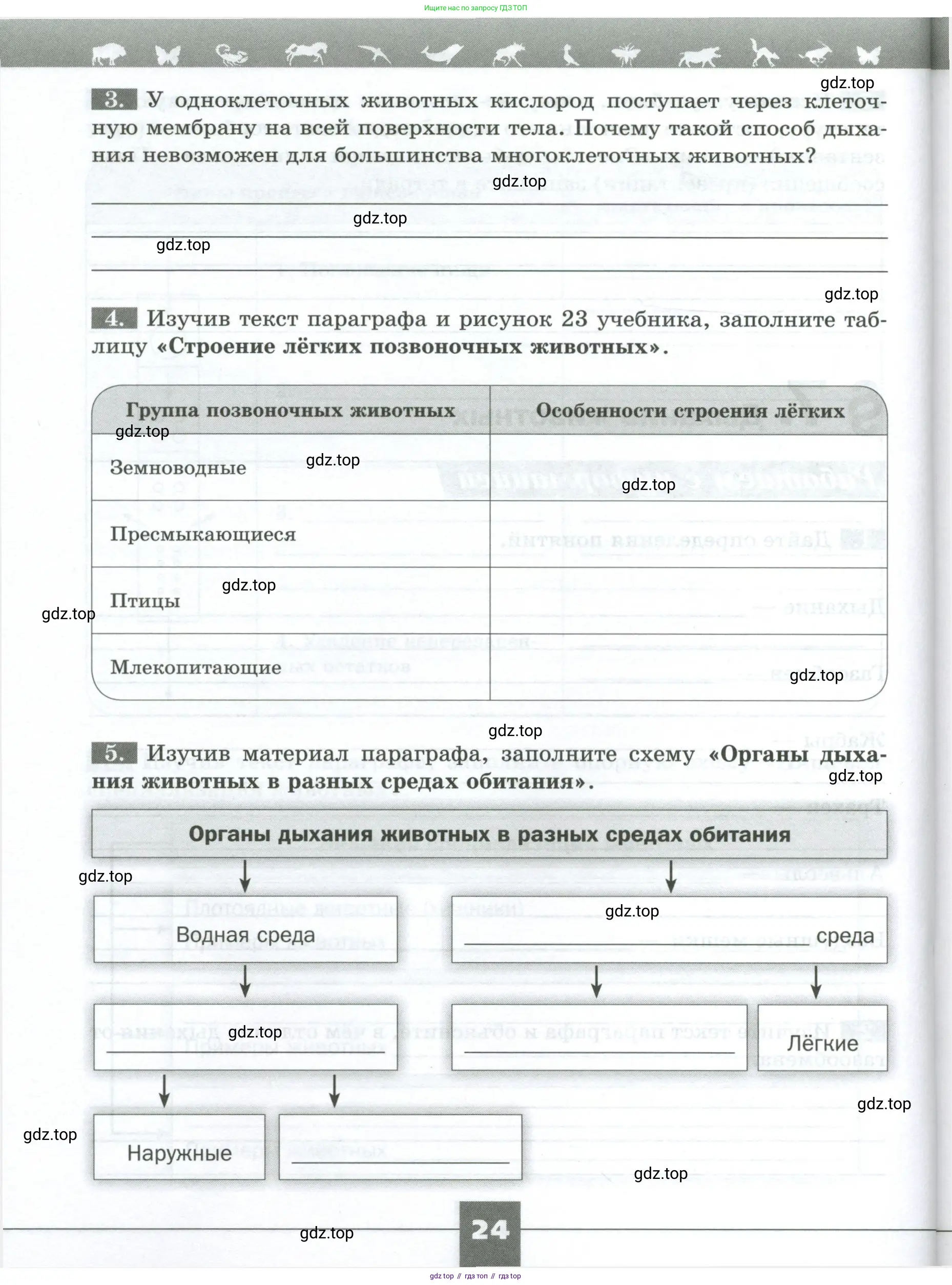 Биология, 8 класс рабочая тетрадь, авторы: Суматохин Сергей Витальевич, Пасечник Владимир Васильевич, Гапонюк Зоя Георгиевна, издательство Просвещение, Москва, 2023, оранжевого цвета, страница 24