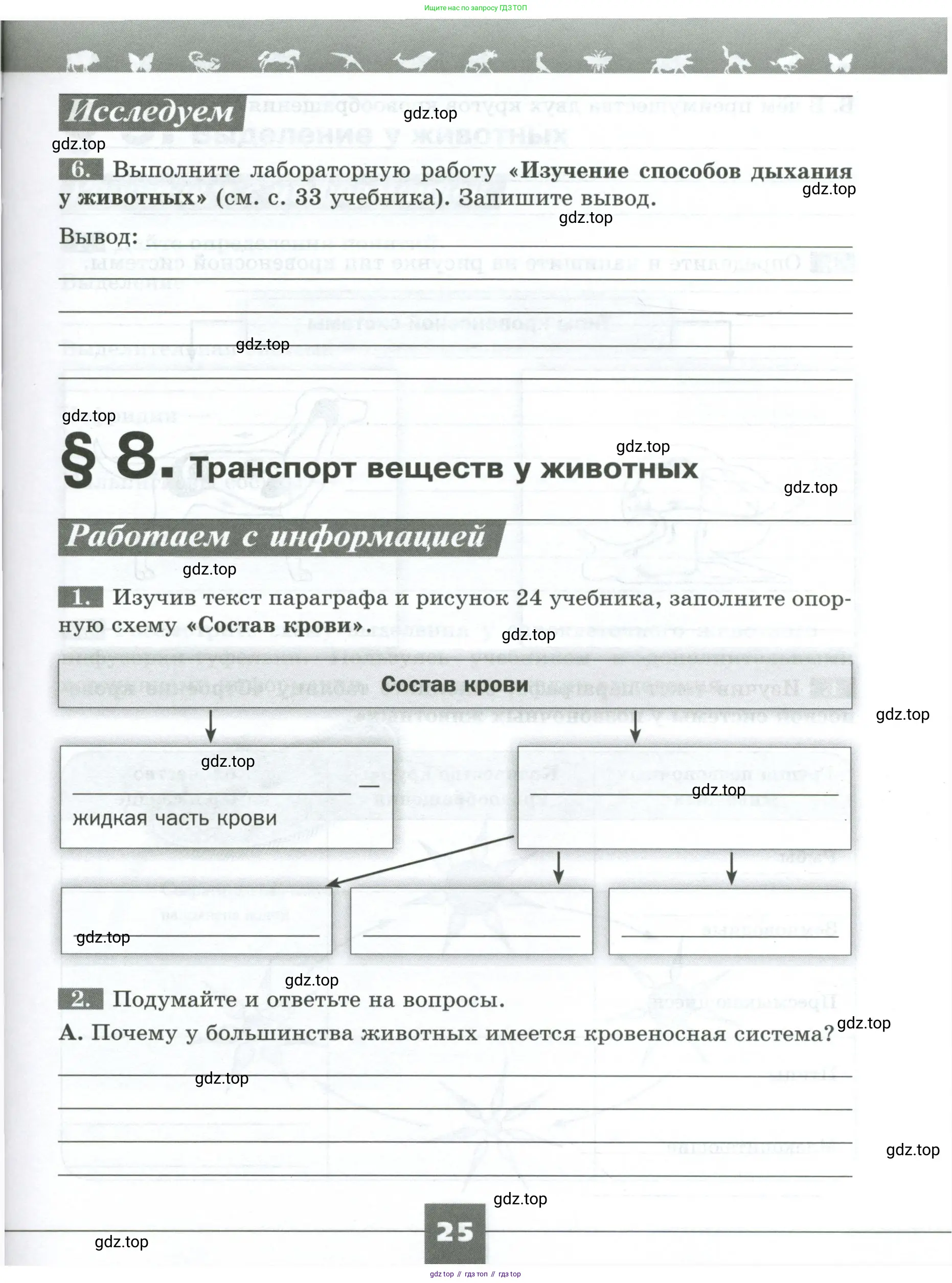 Биология, 8 класс рабочая тетрадь, авторы: Суматохин Сергей Витальевич, Пасечник Владимир Васильевич, Гапонюк Зоя Георгиевна, издательство Просвещение, Москва, 2023, оранжевого цвета, страница 25