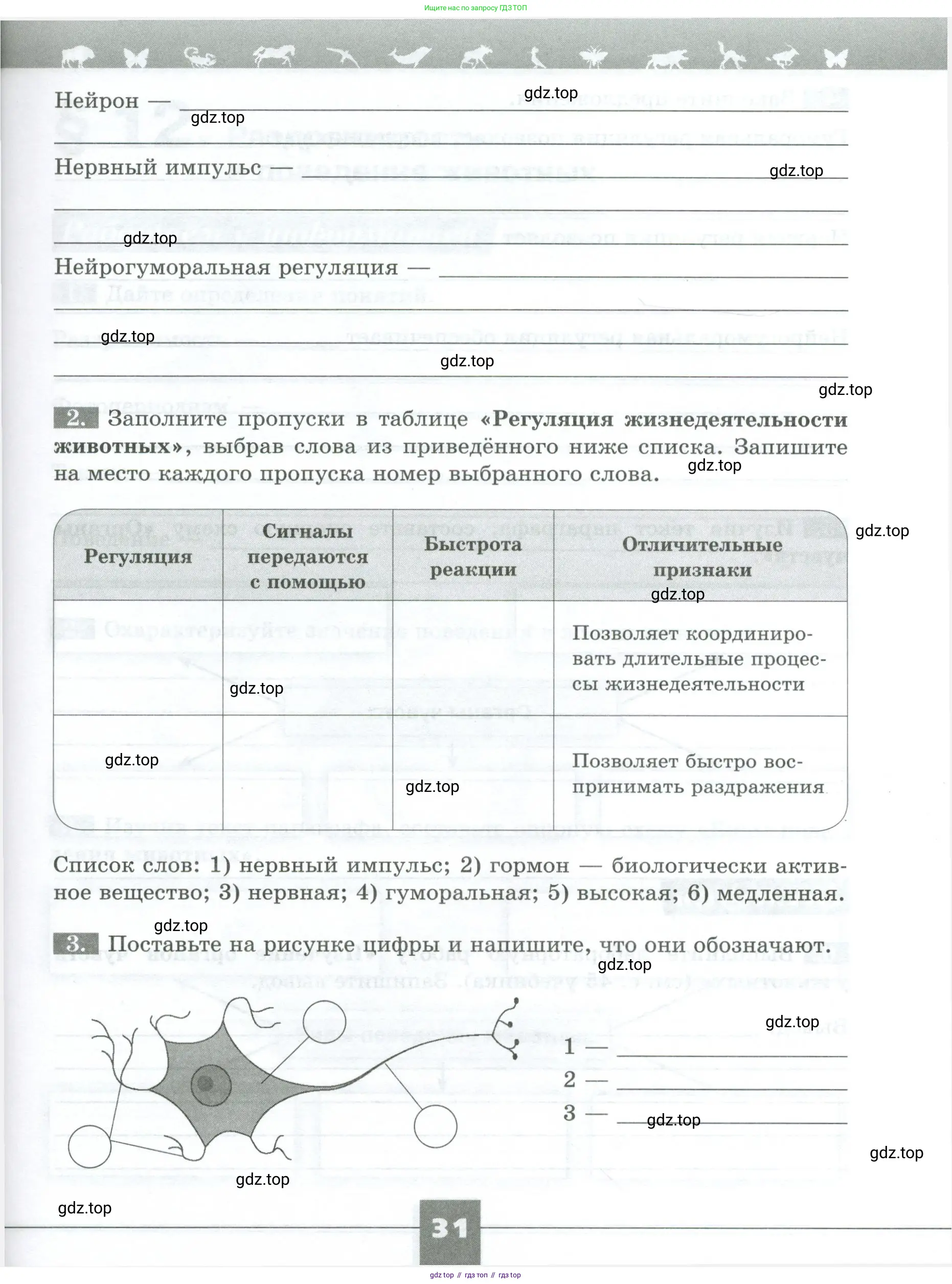 Биология, 8 класс рабочая тетрадь, авторы: Суматохин Сергей Витальевич, Пасечник Владимир Васильевич, Гапонюк Зоя Георгиевна, издательство Просвещение, Москва, 2023, оранжевого цвета, страница 31